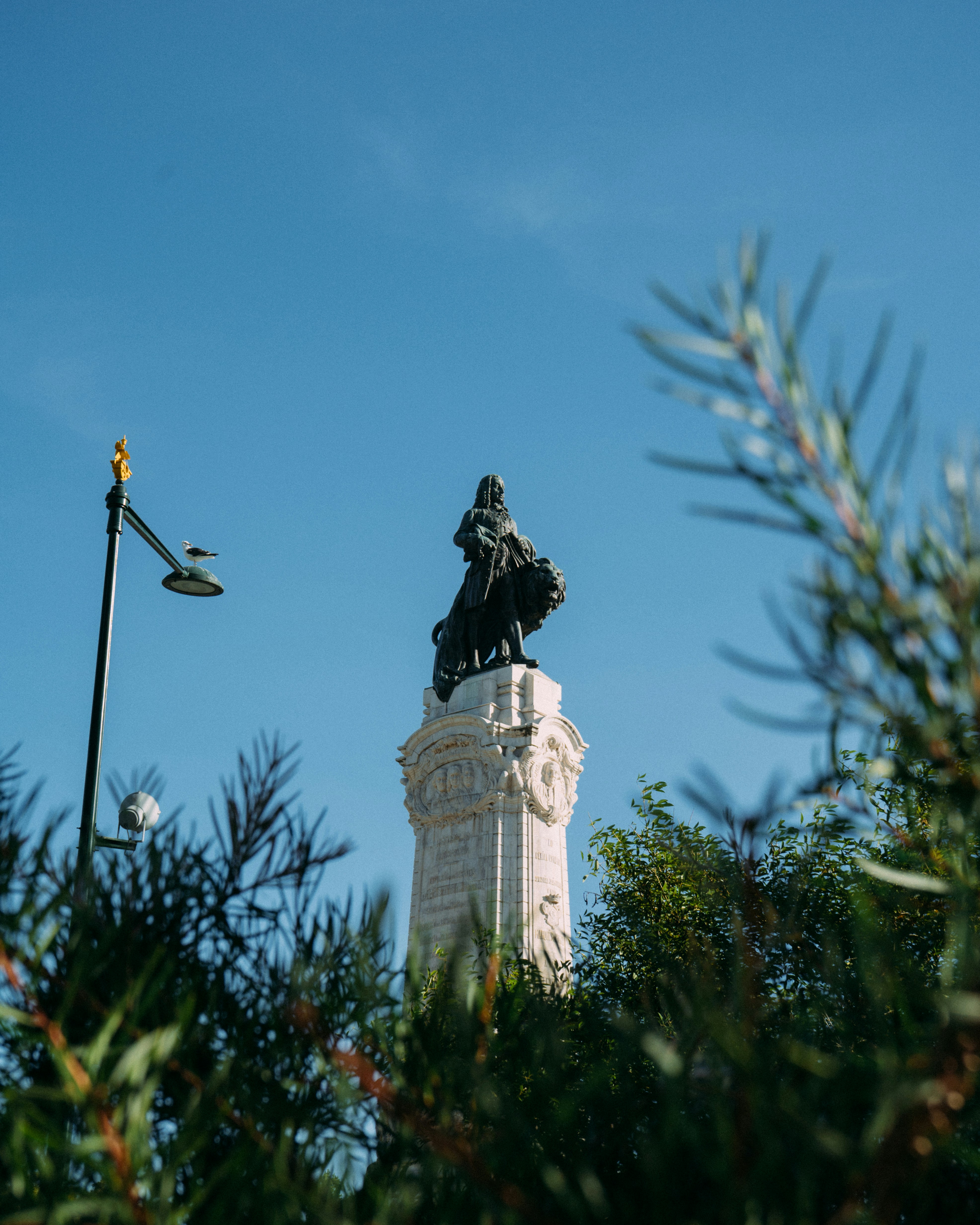 Photo by snapshot_journey