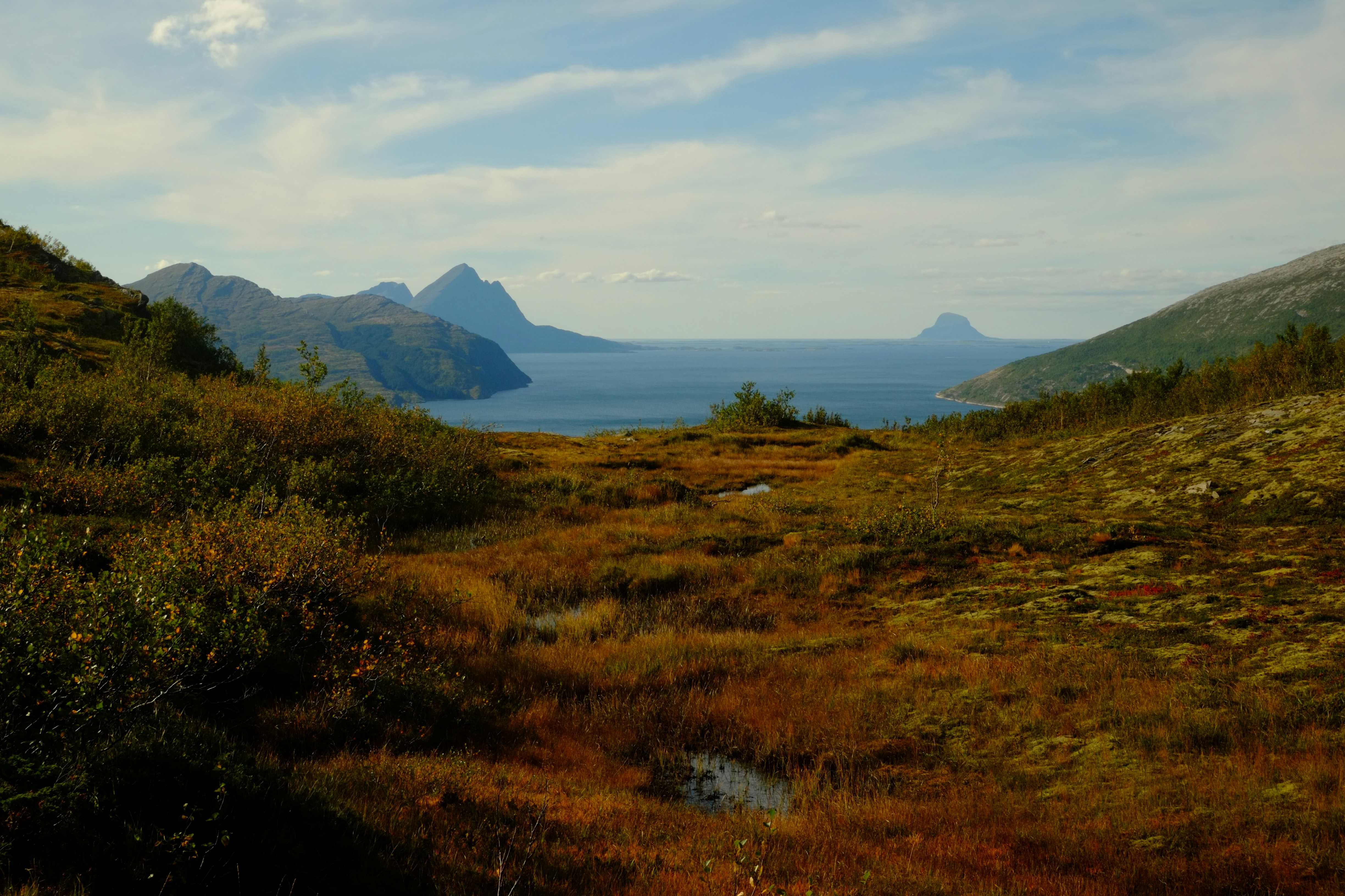 Photo by bernhardbar