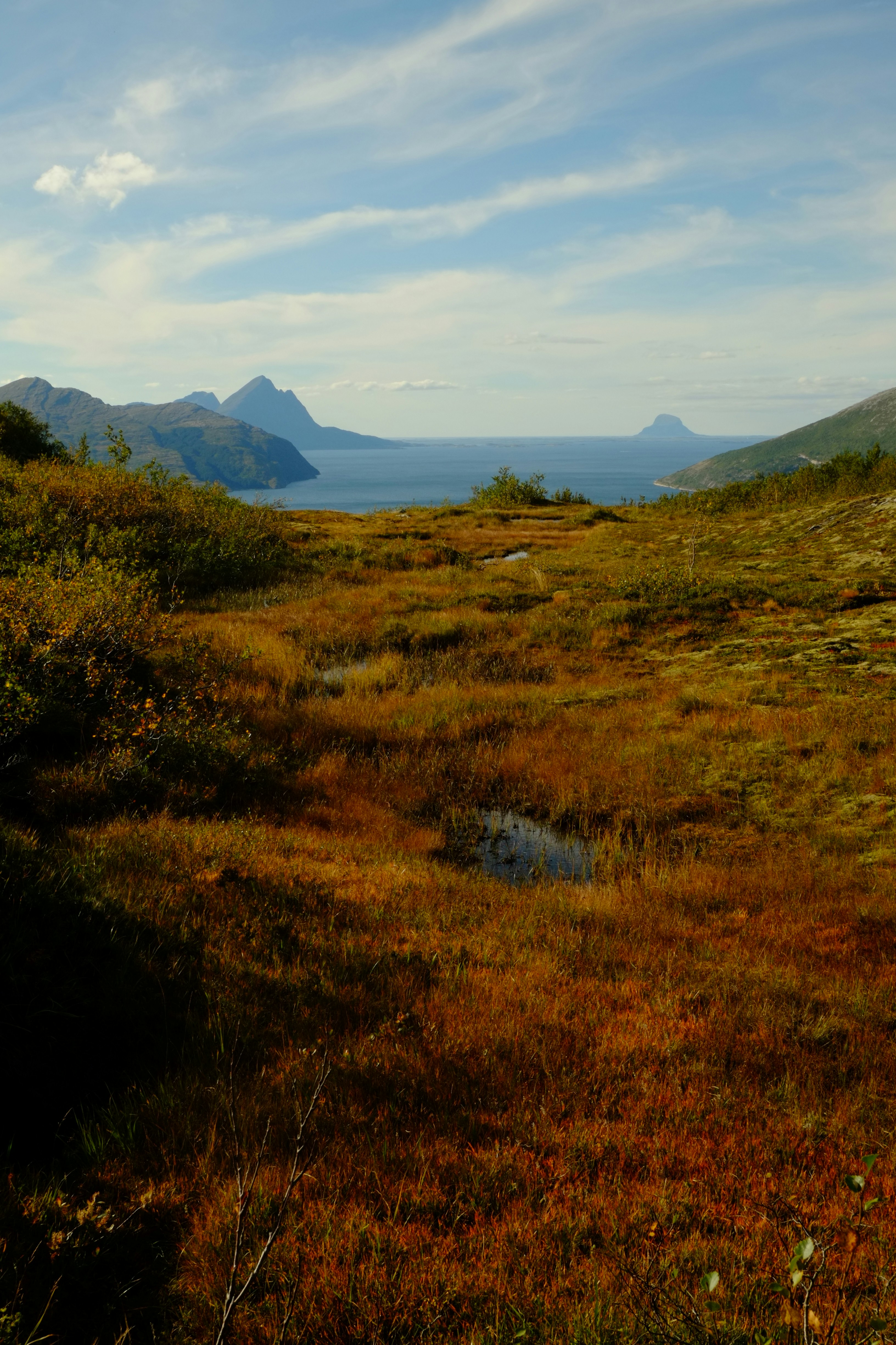 Photo by bernhardbar