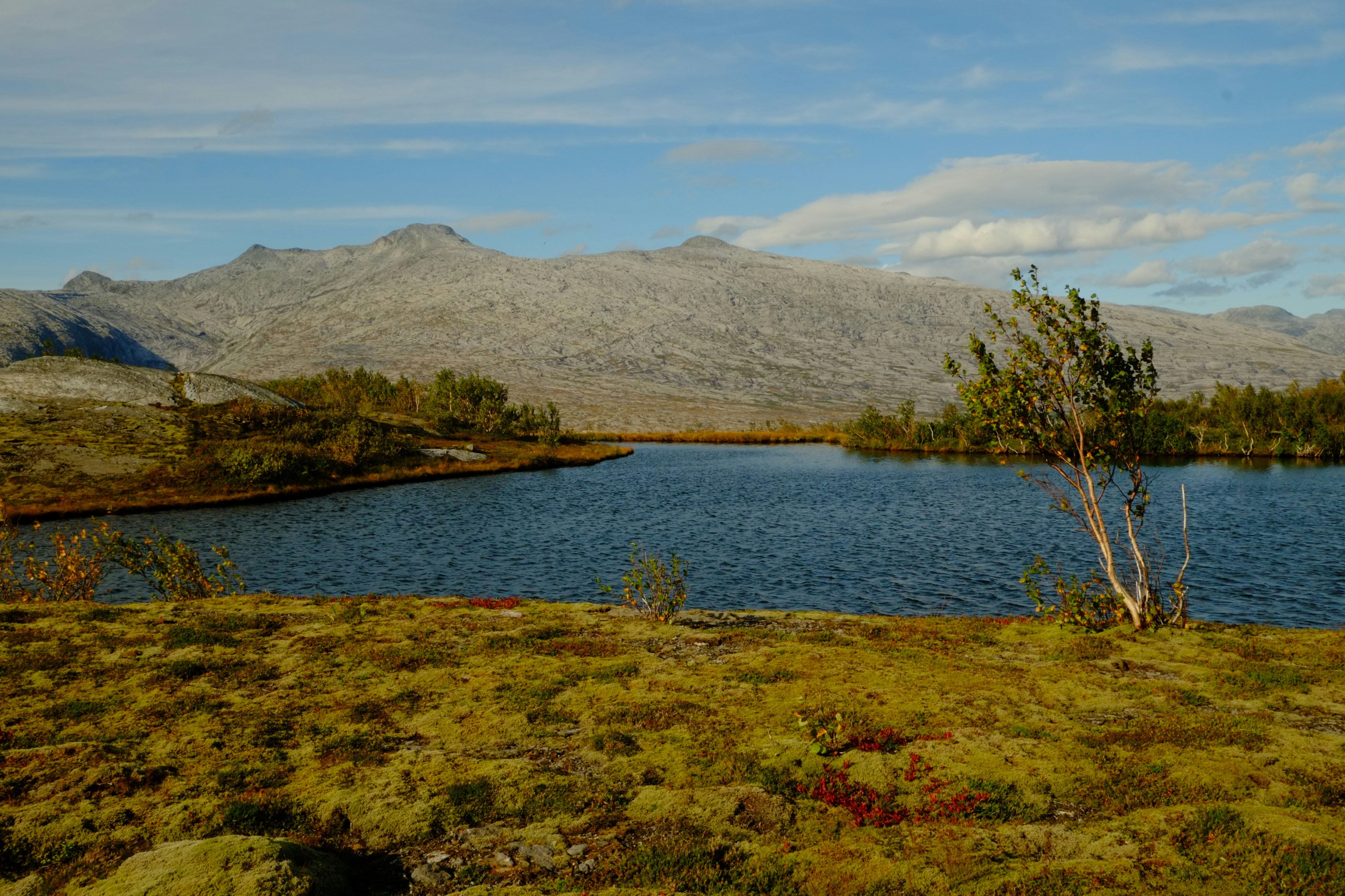 Photo by bernhardbar