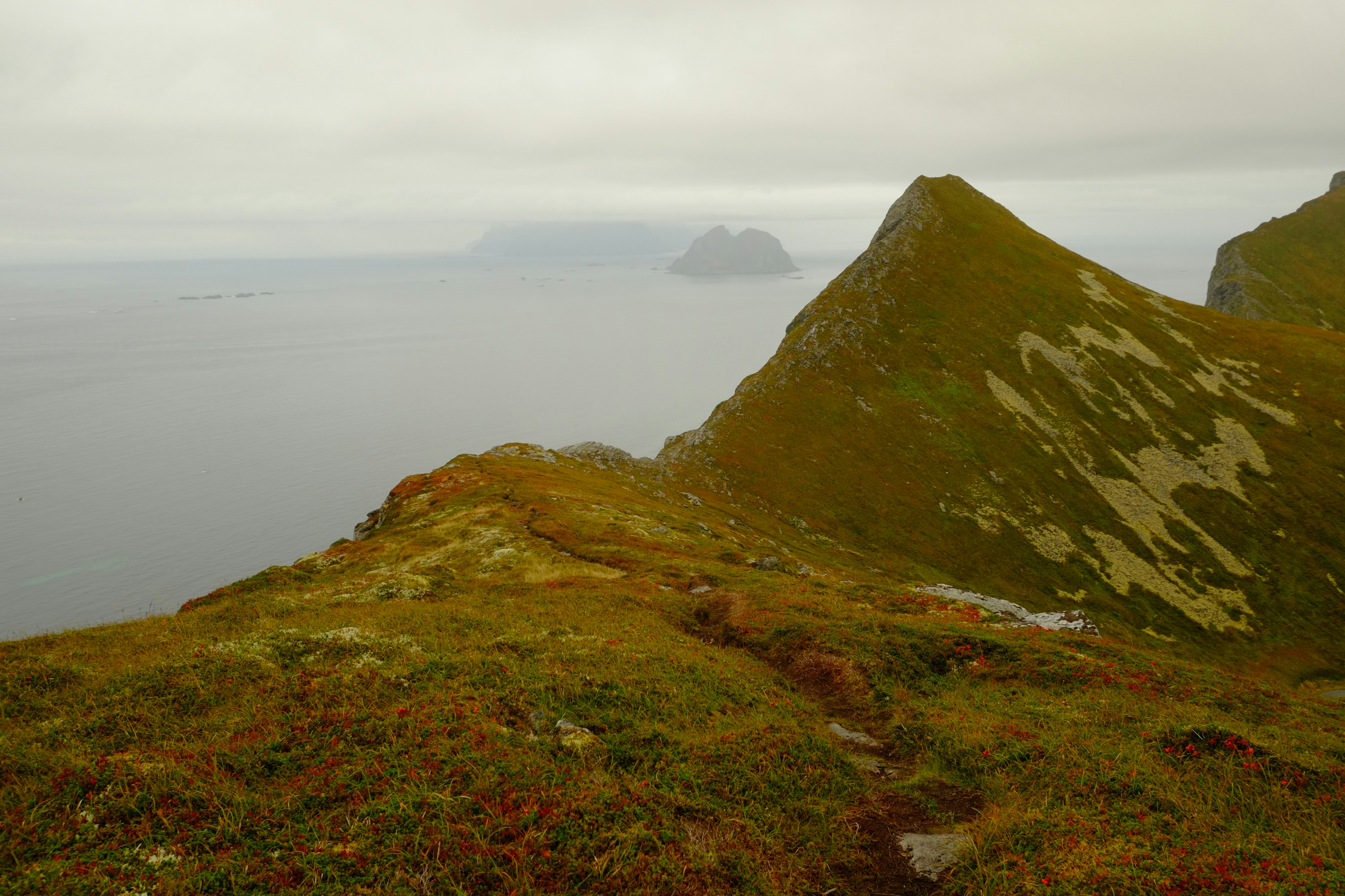 Photo by bernhardbar