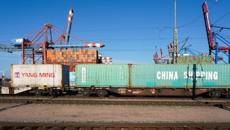 Shipping containers on a train at a port.
