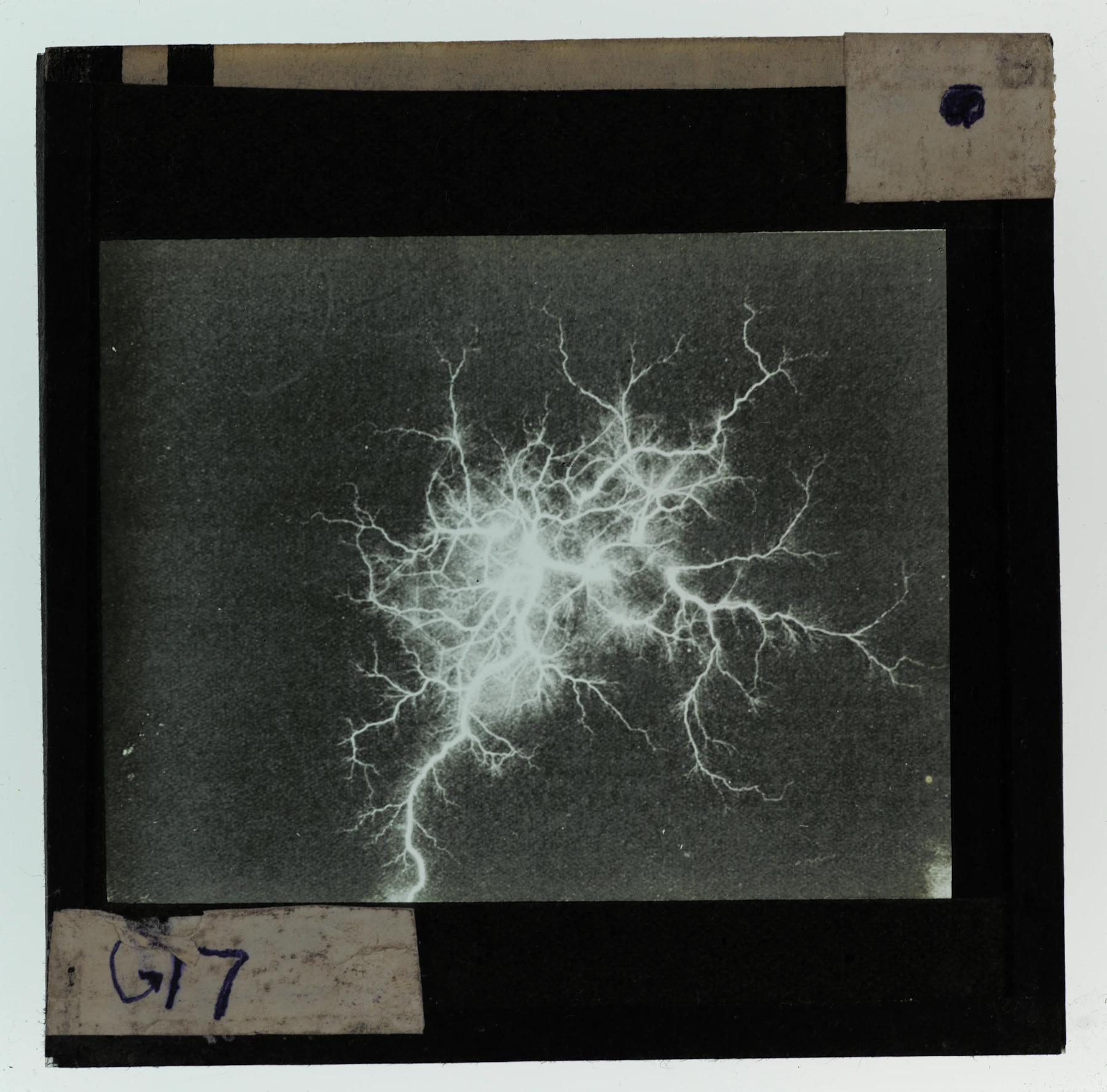 Descarga de plasma ramificada sobre fondo oscuro