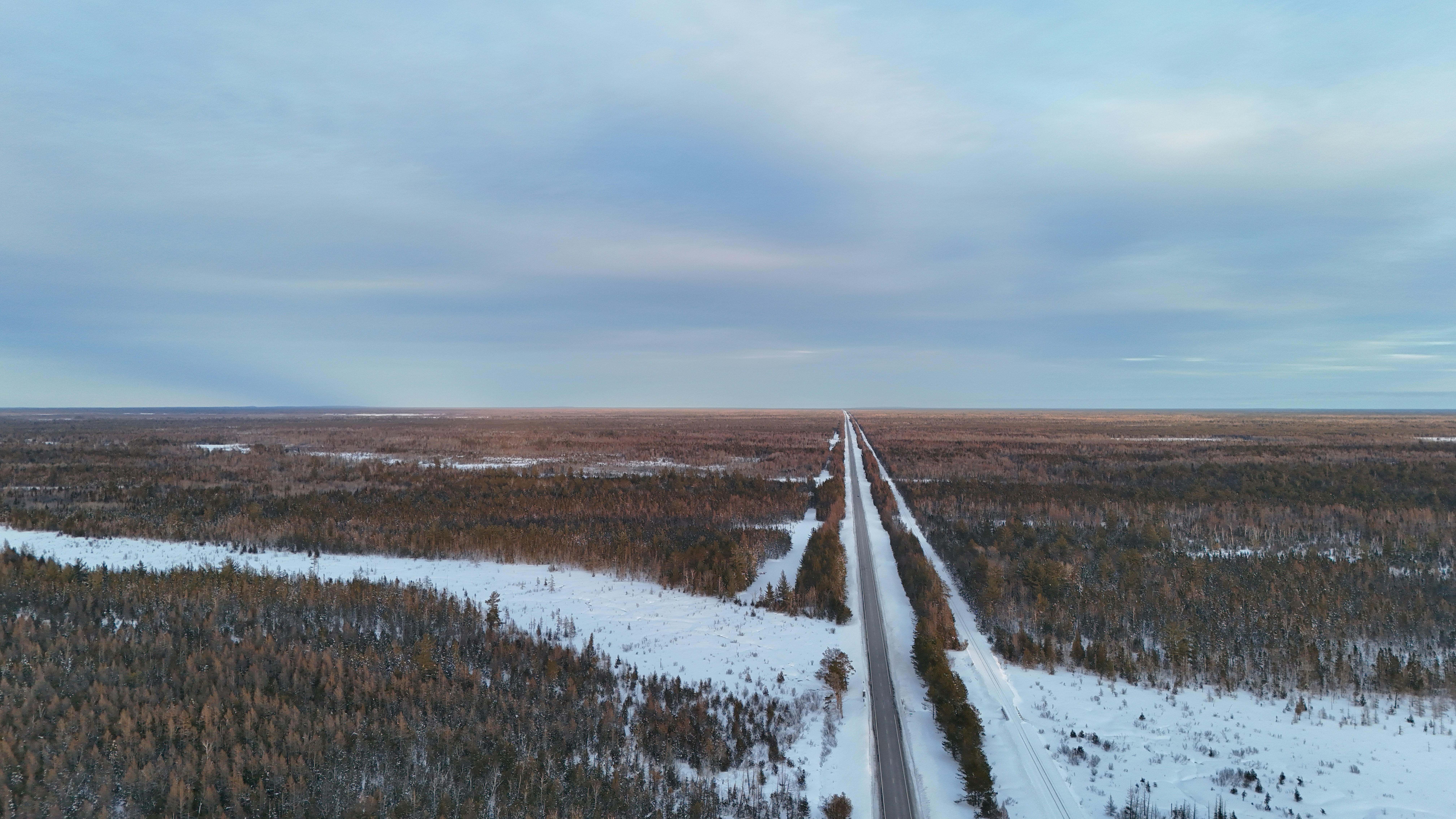 Long straight road through snowy forest undergrowth undergrowth under sky