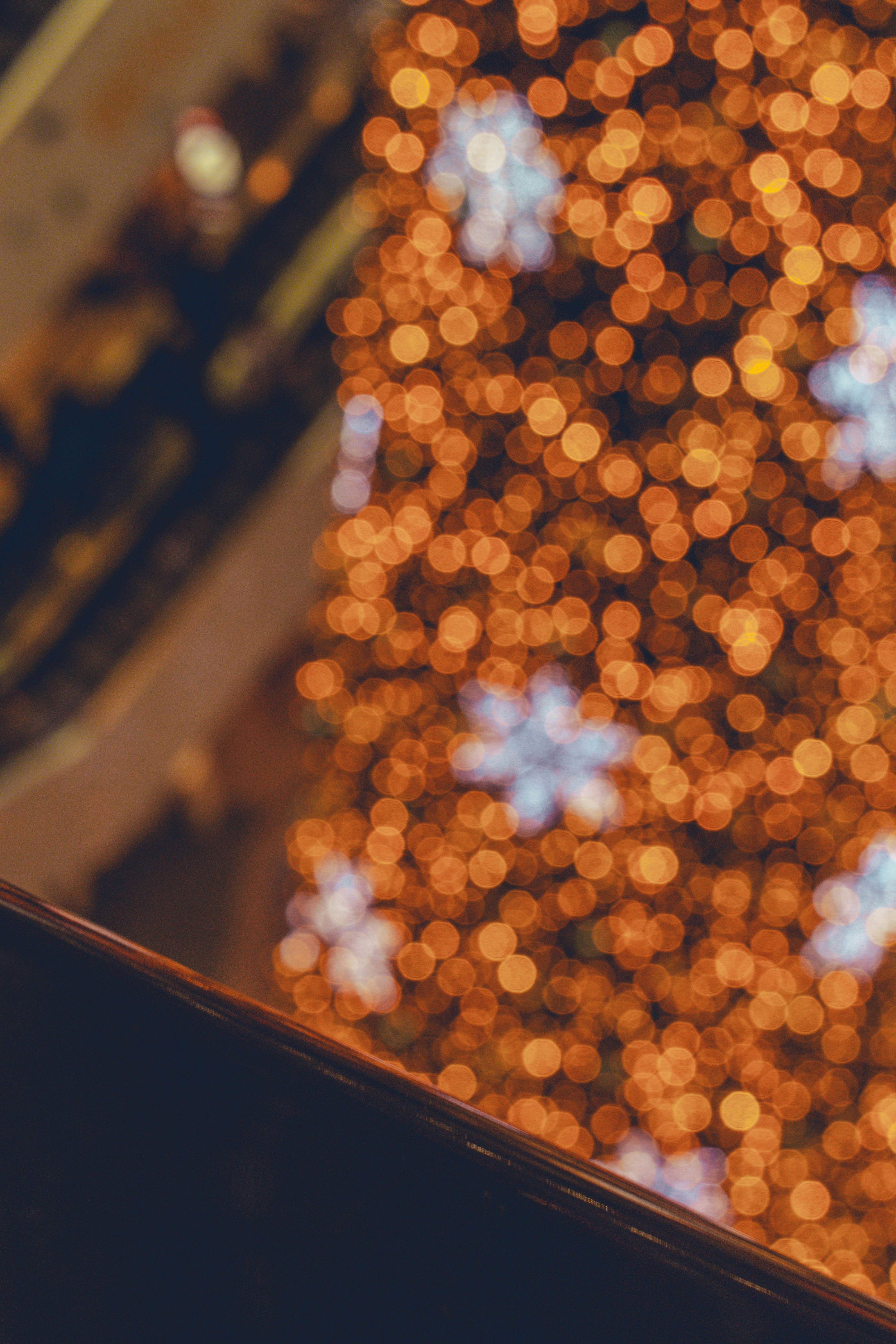 Photo by arlindphotography