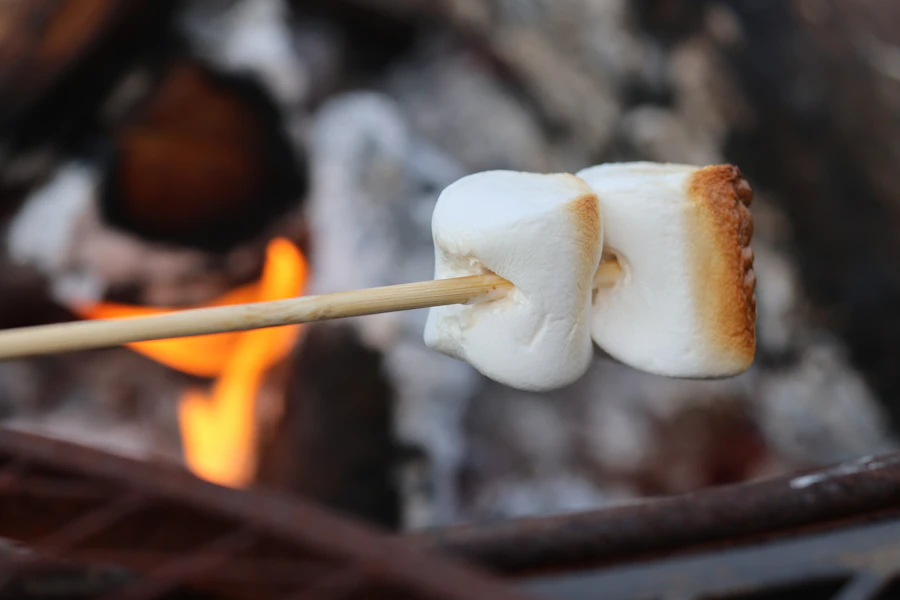 Marshmallow toasting over a campfire
