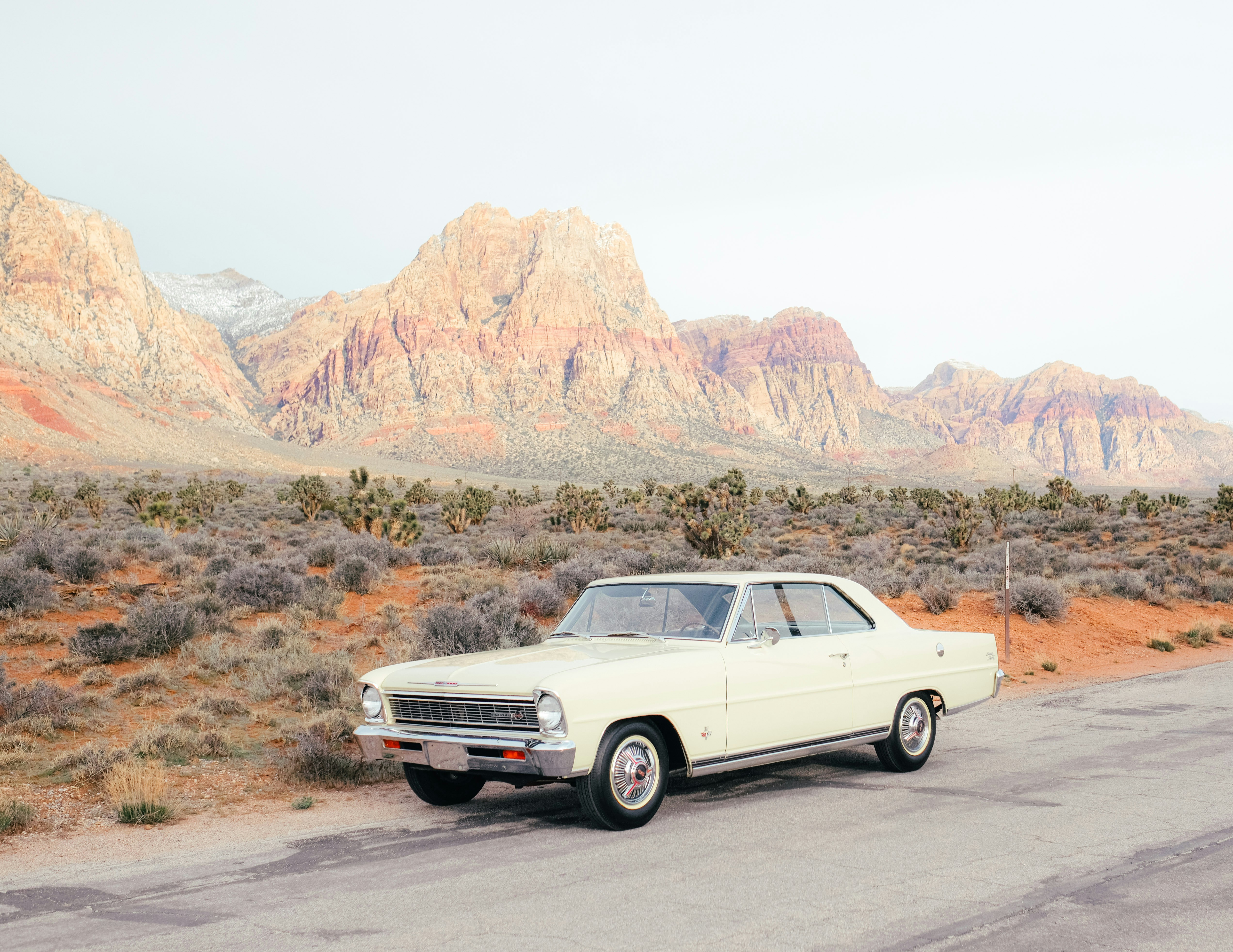 Photo by wesleyphotography