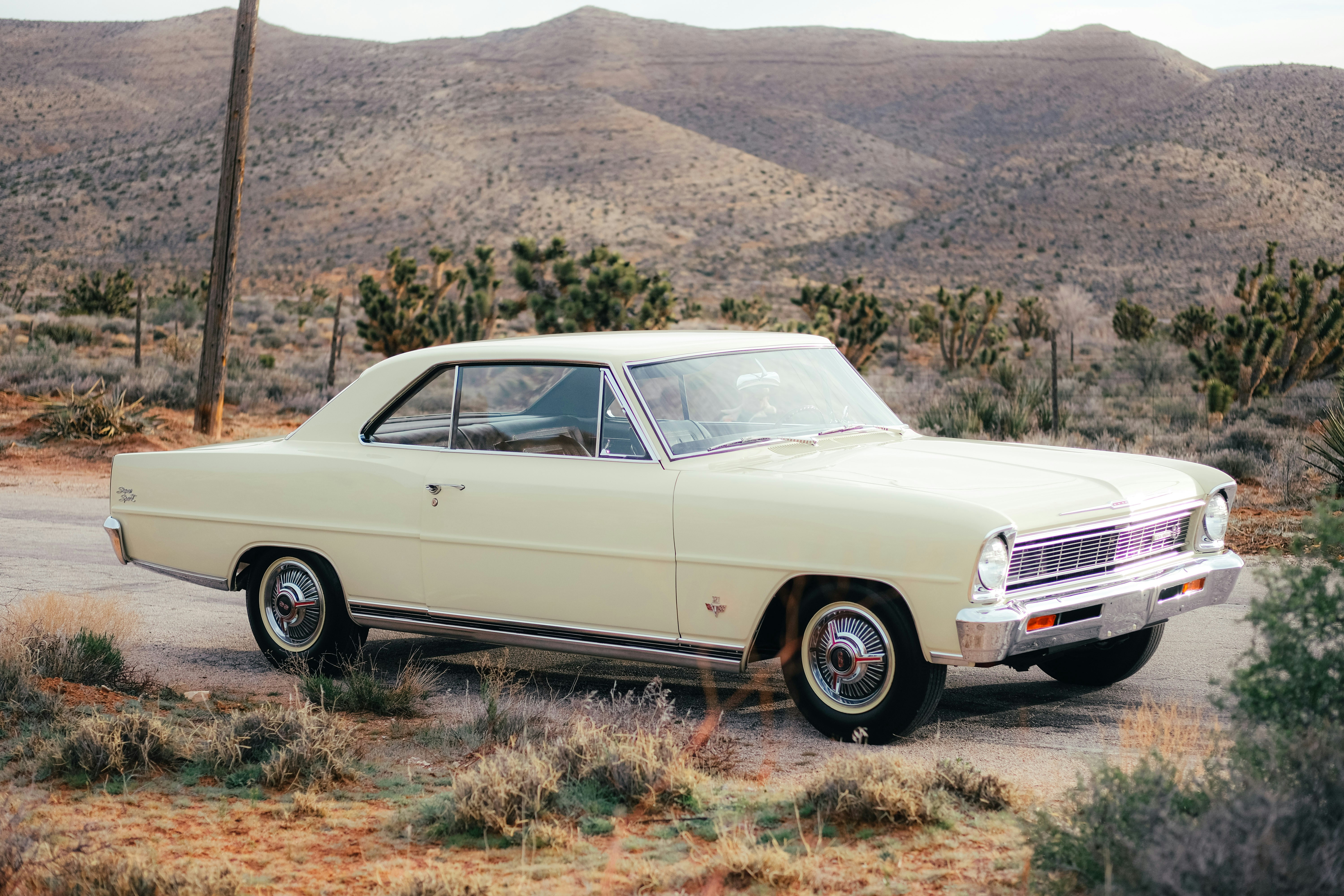 Photo by wesleyphotography