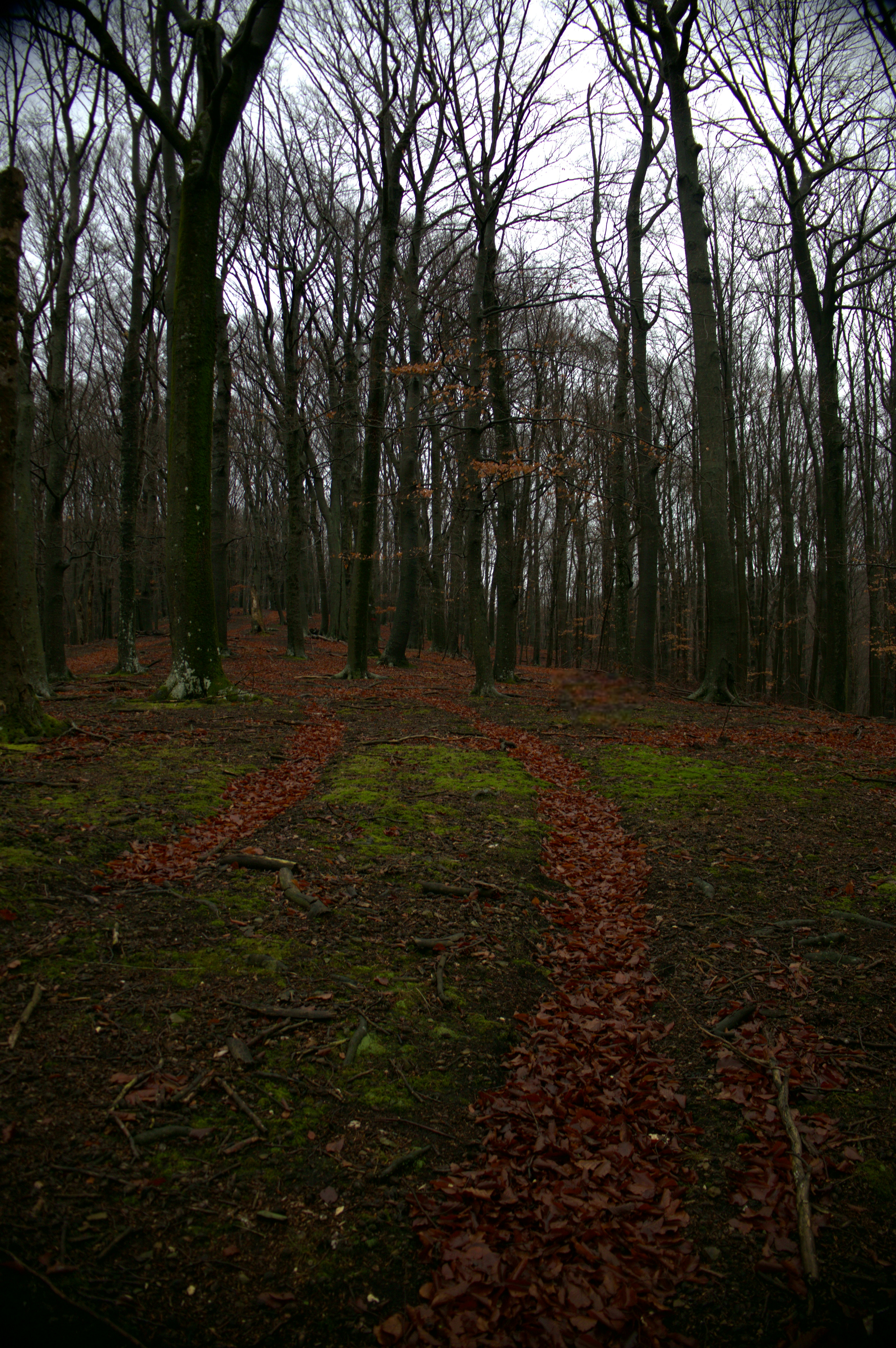 Photo by martin_lednar