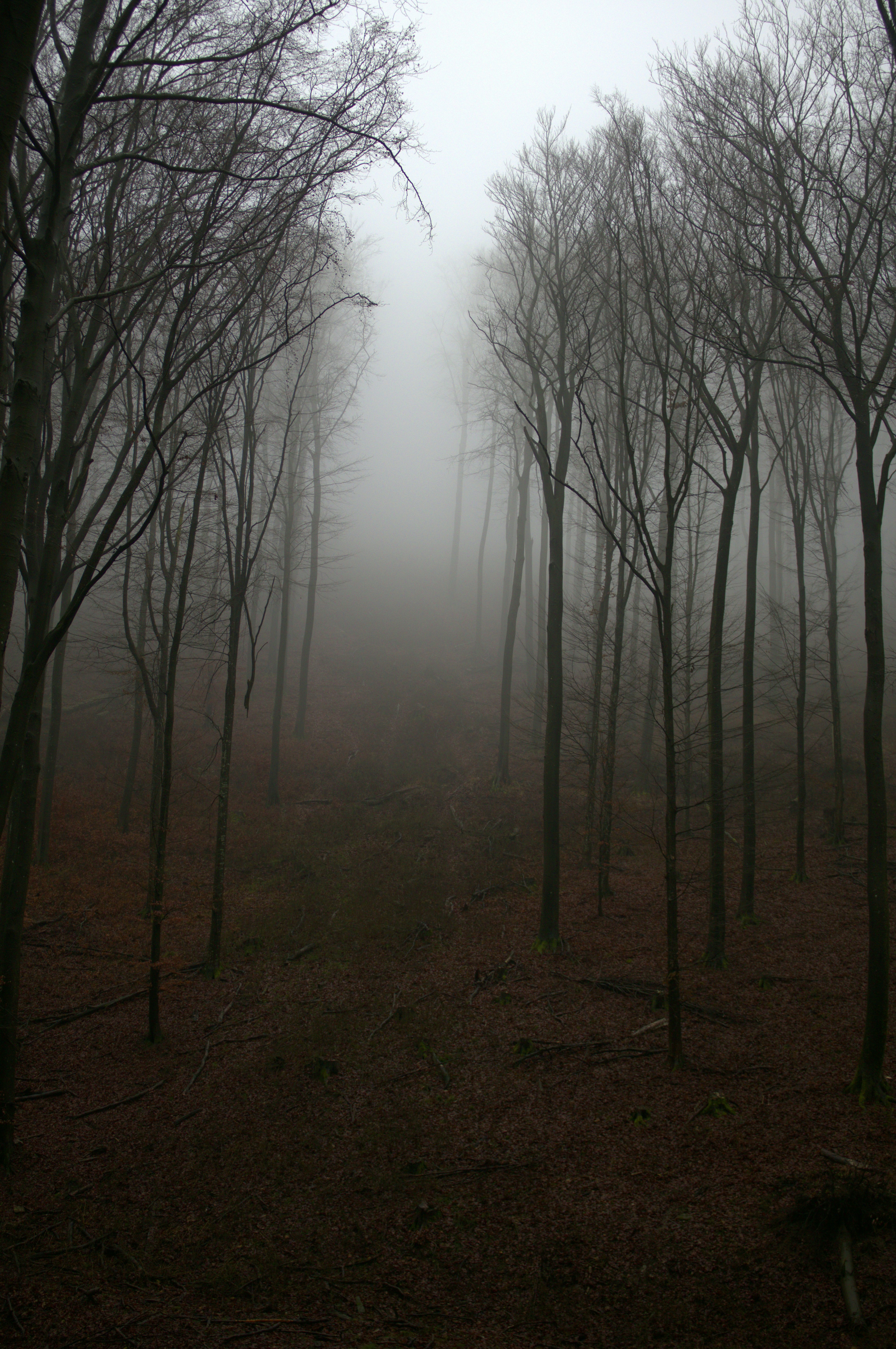 Photo by martin_lednar