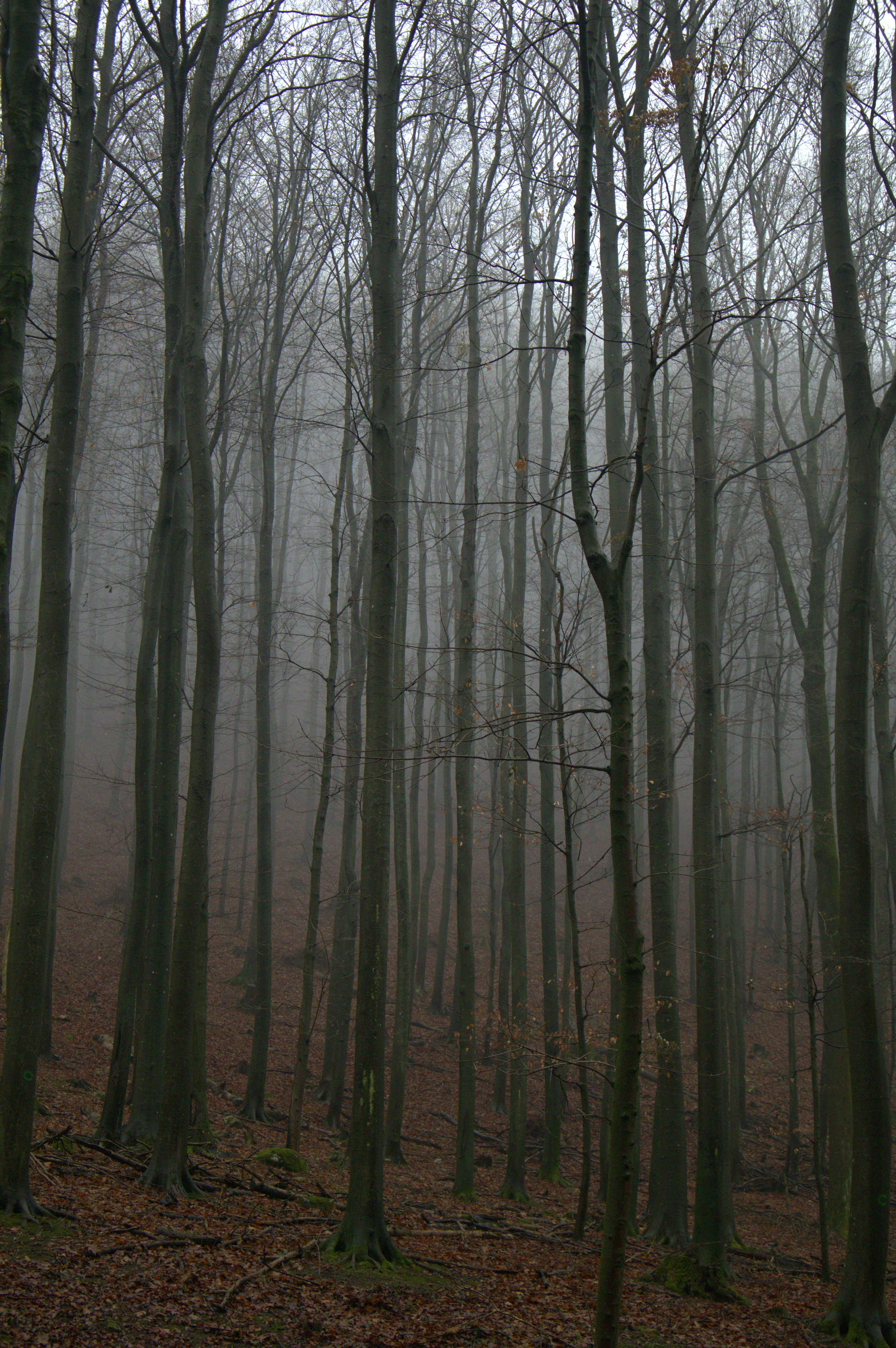 Photo by martin_lednar