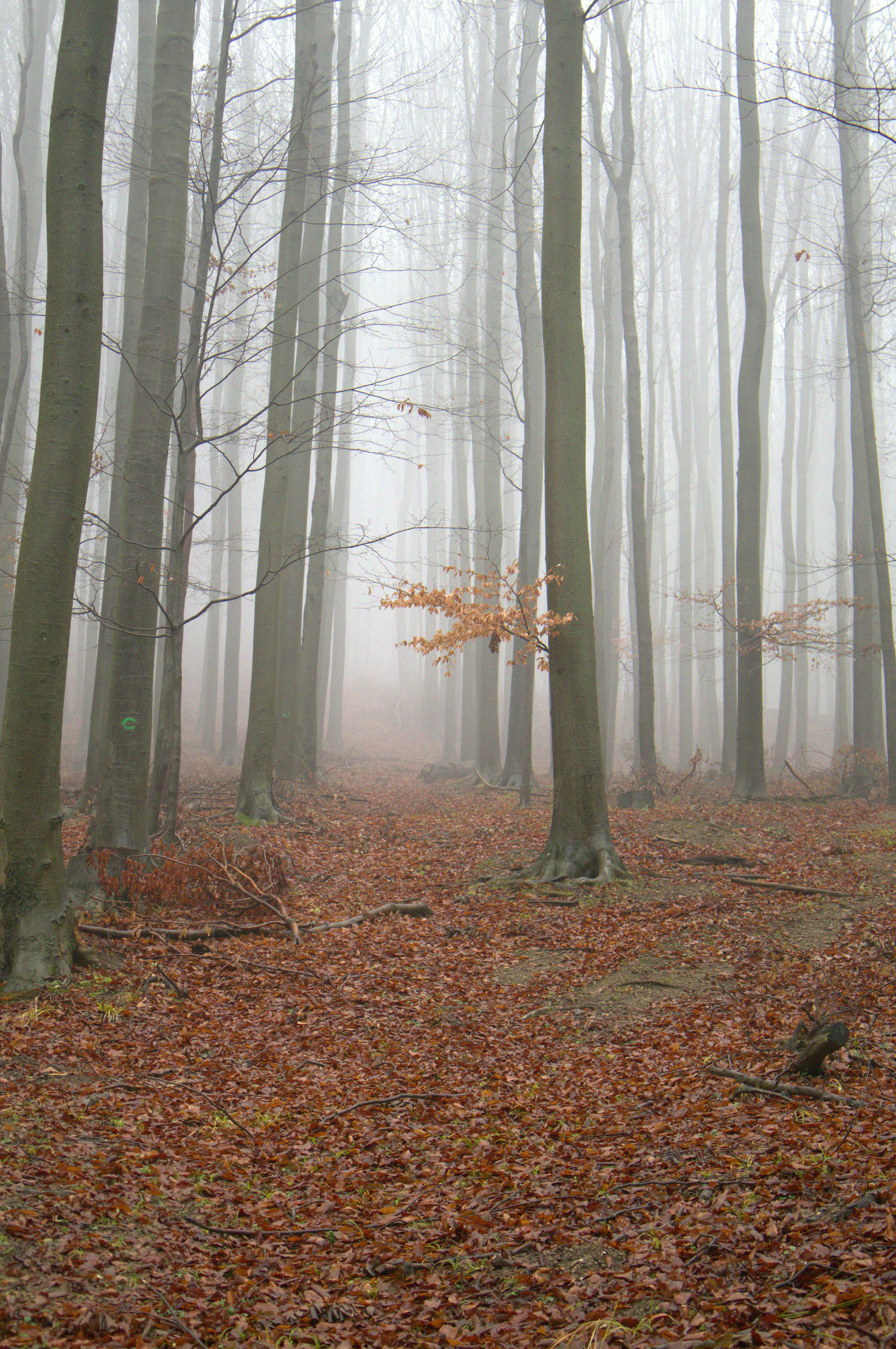 Photo by martin_lednar