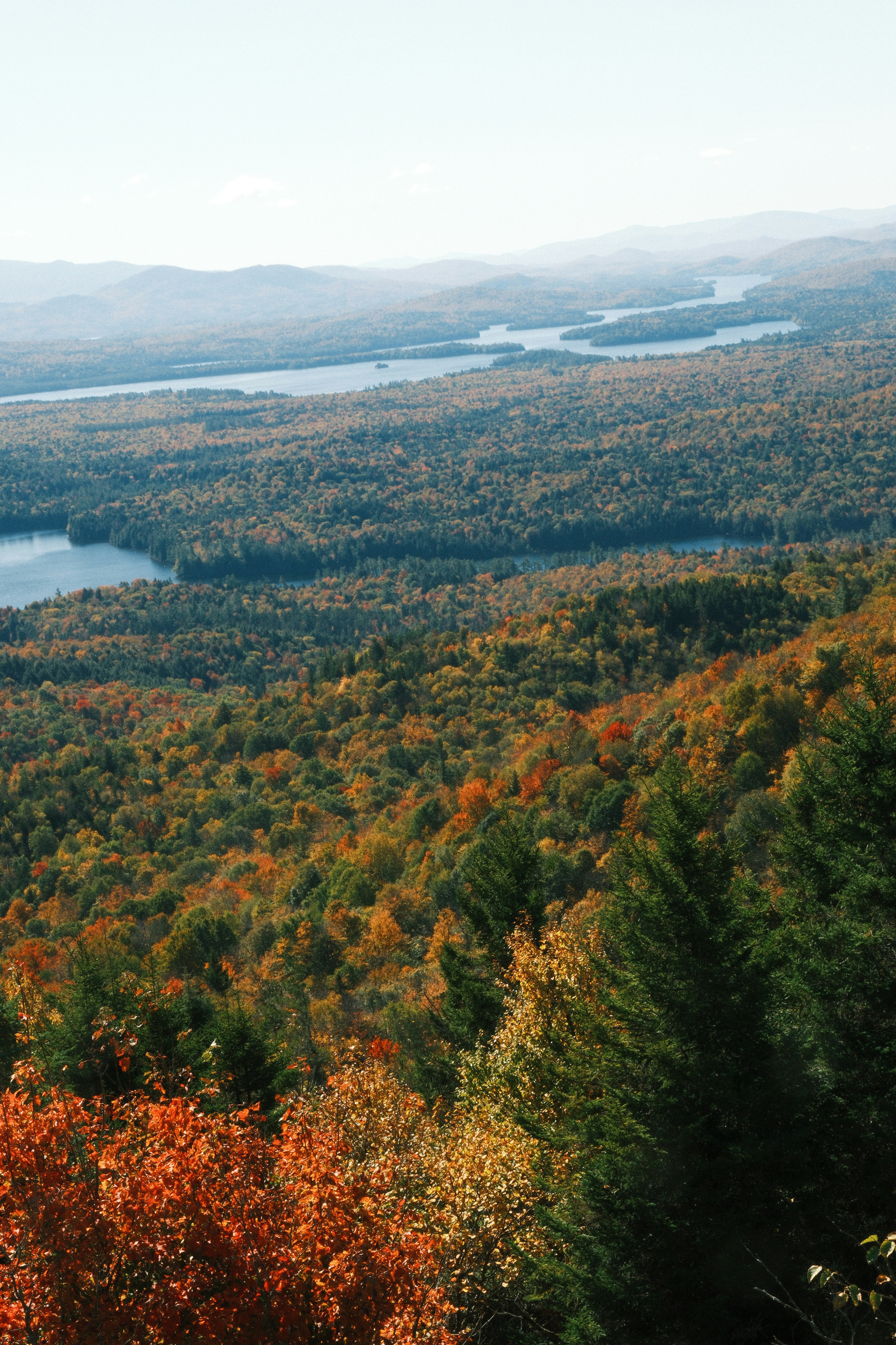 Photo by peter_emmettt