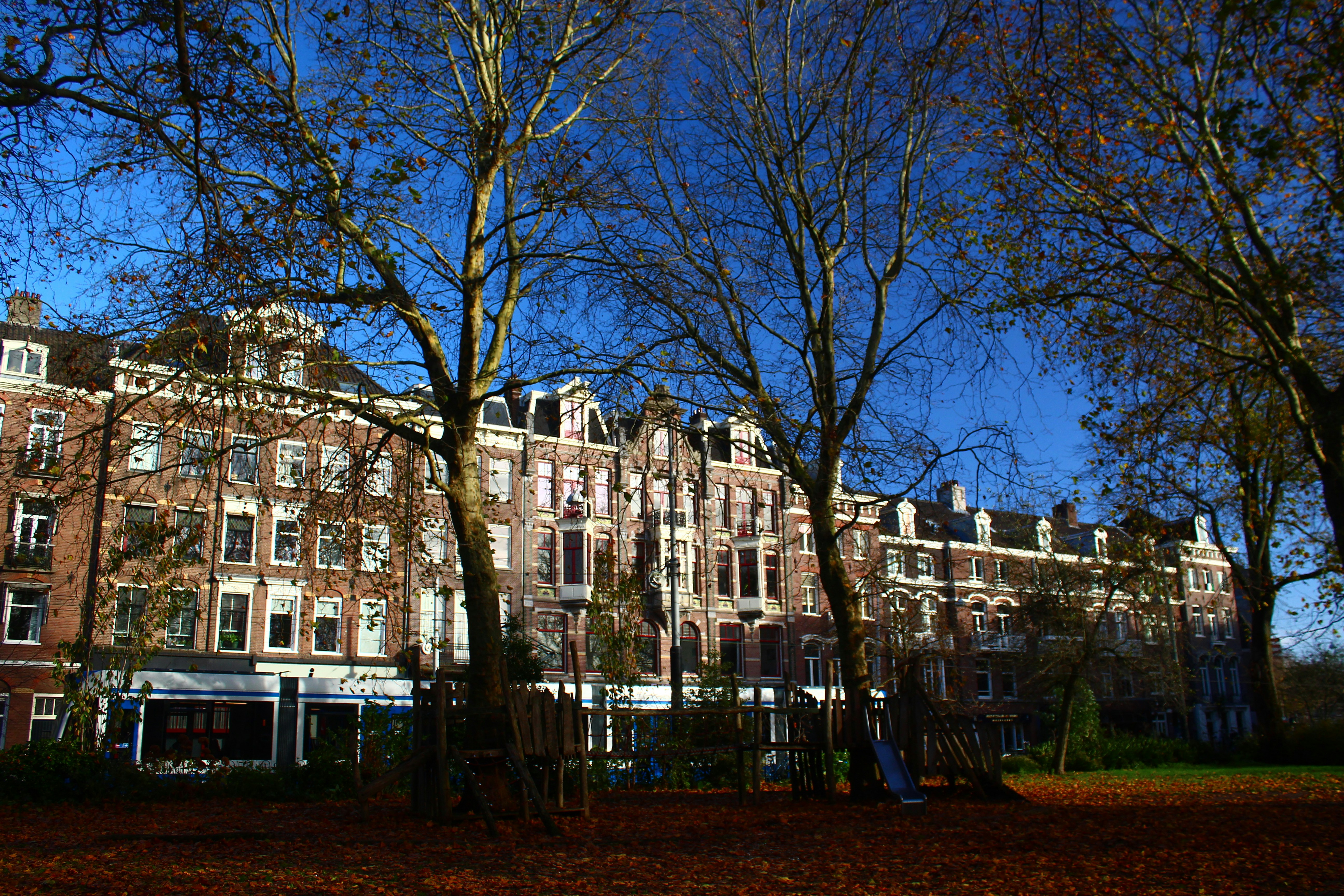 Apartment buildings with trees in foreground on a sunny day