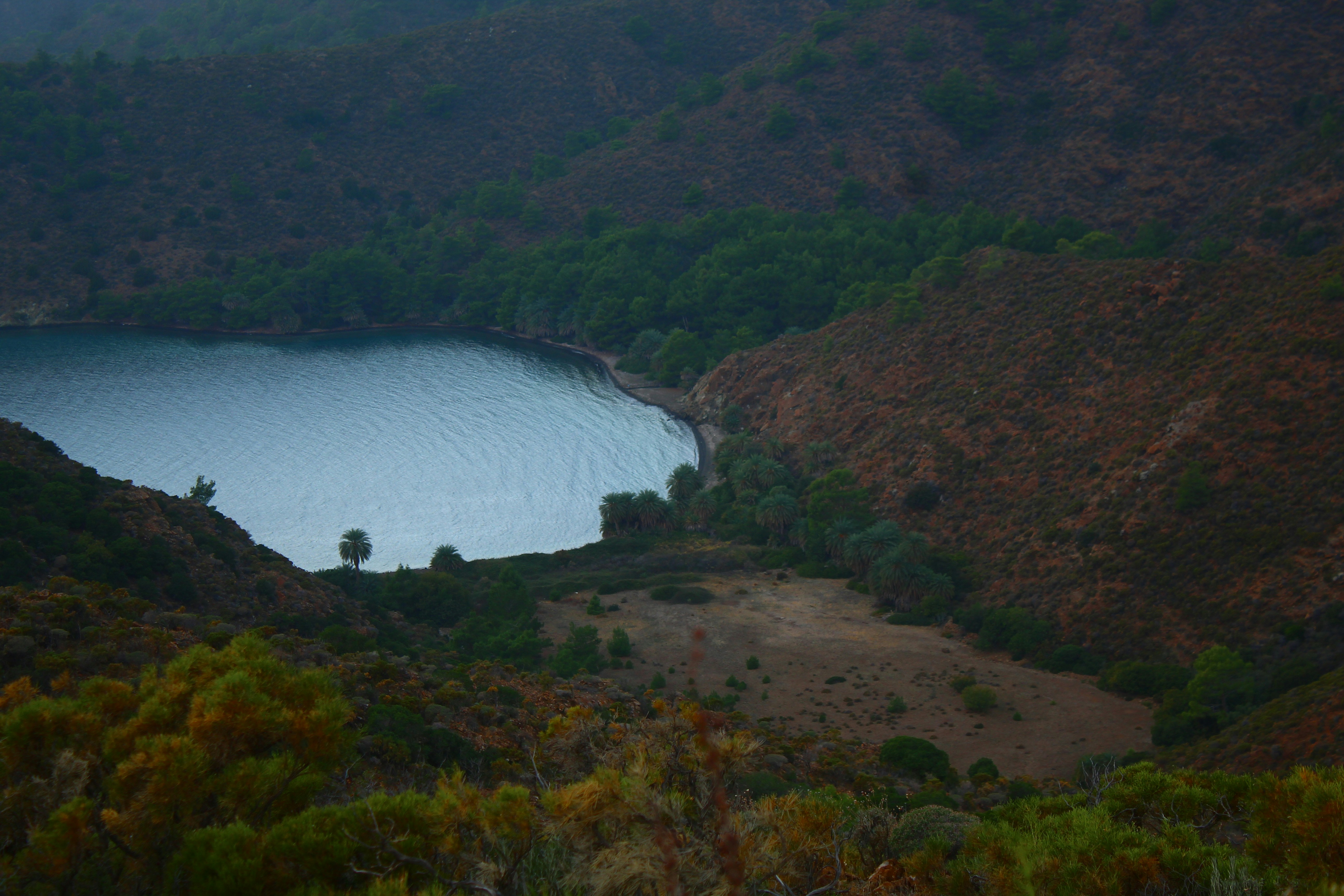 Calm lake surrounded by forested hills at dusk.