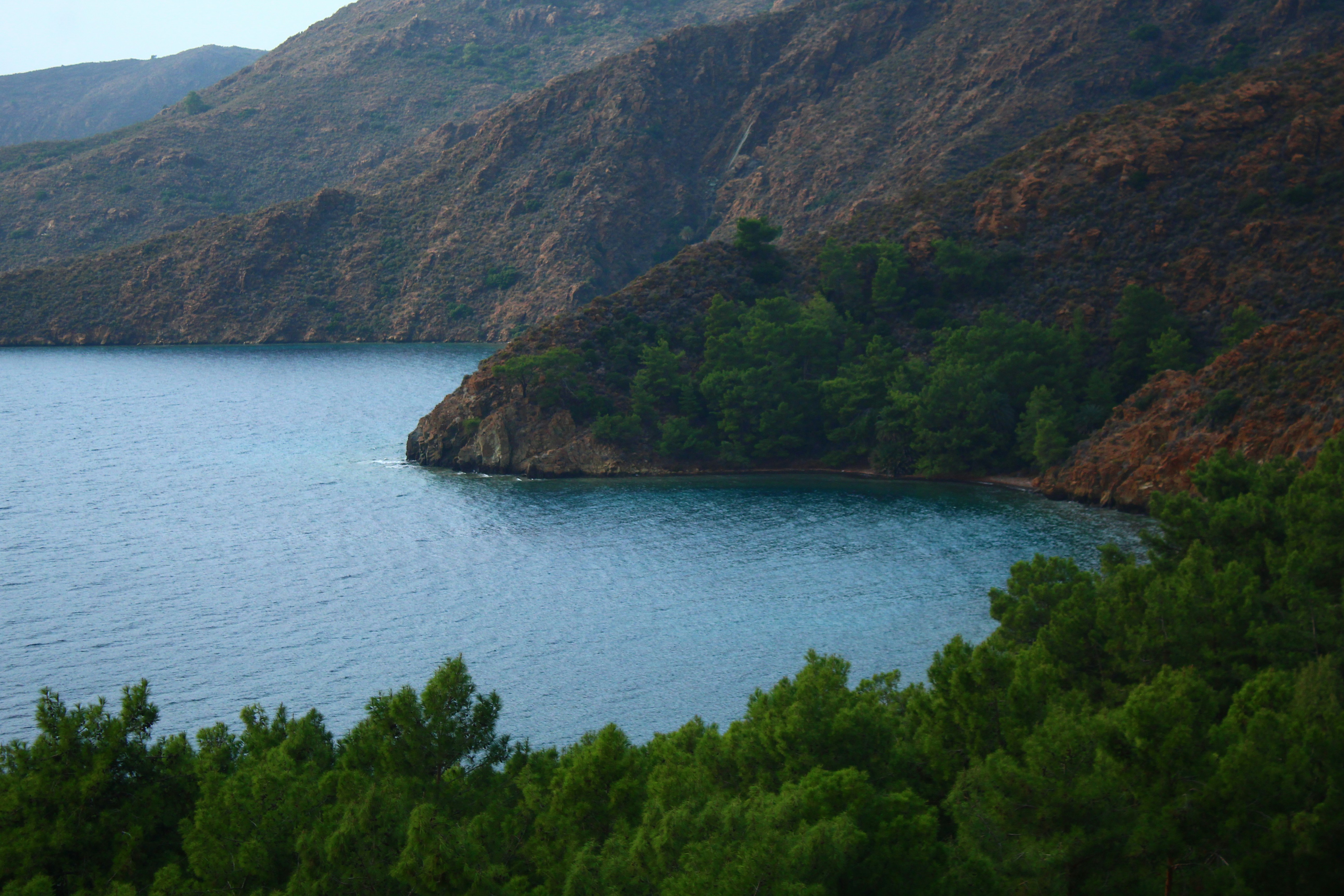 Calm blue water meets forested rocky coastline