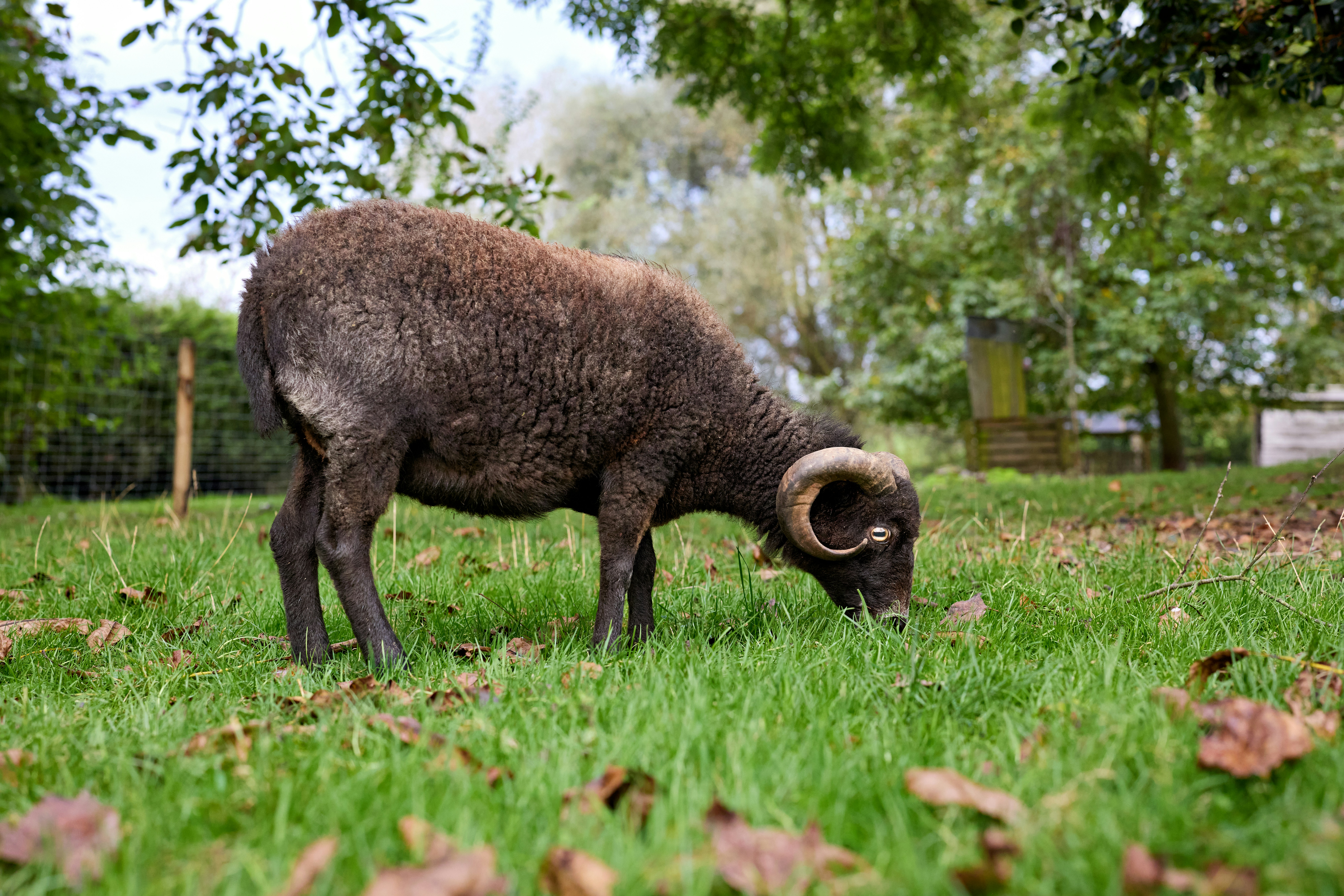 Photo by erwinbosman