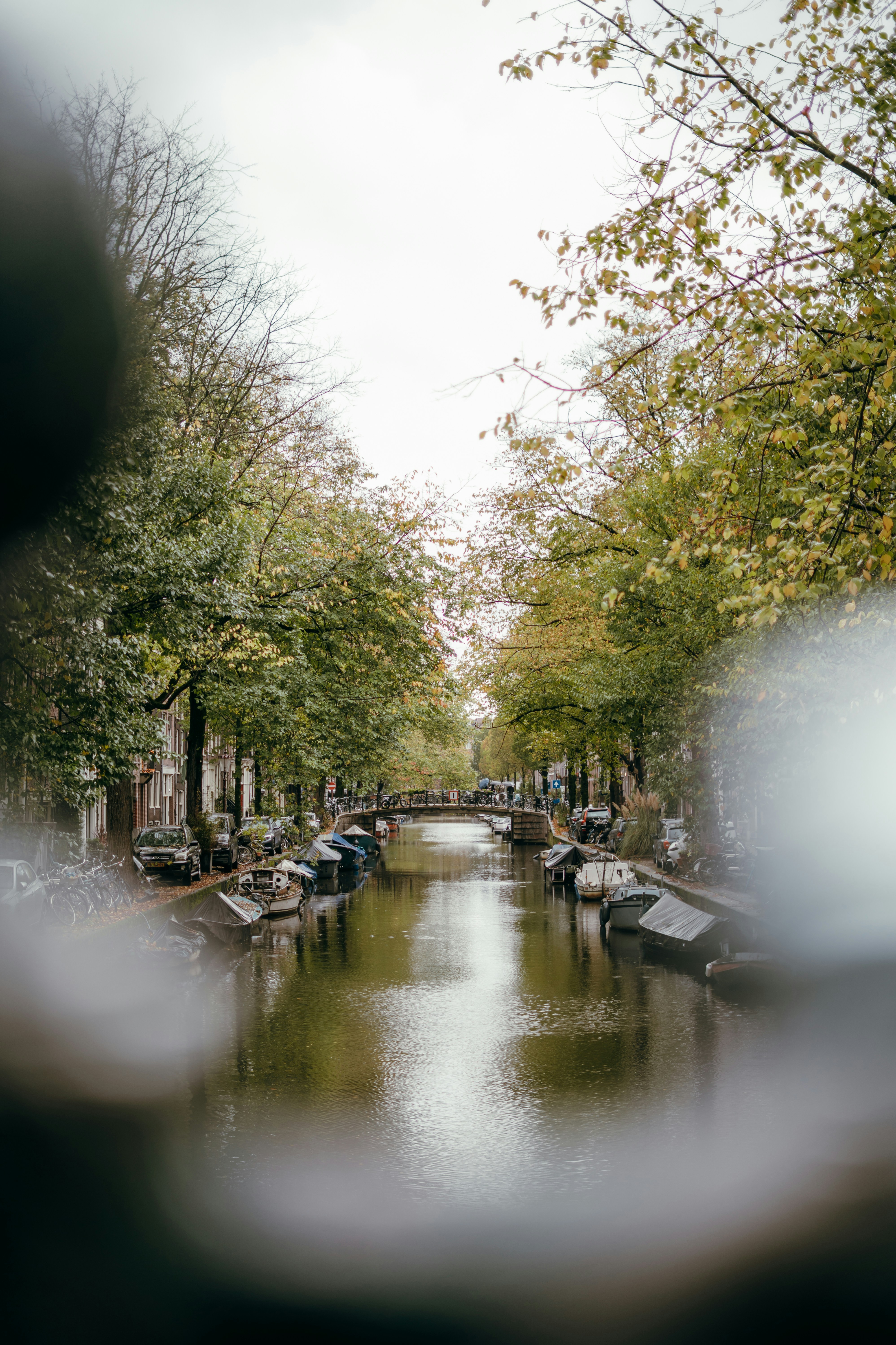 Canal lined with trees and boats in amsterdam