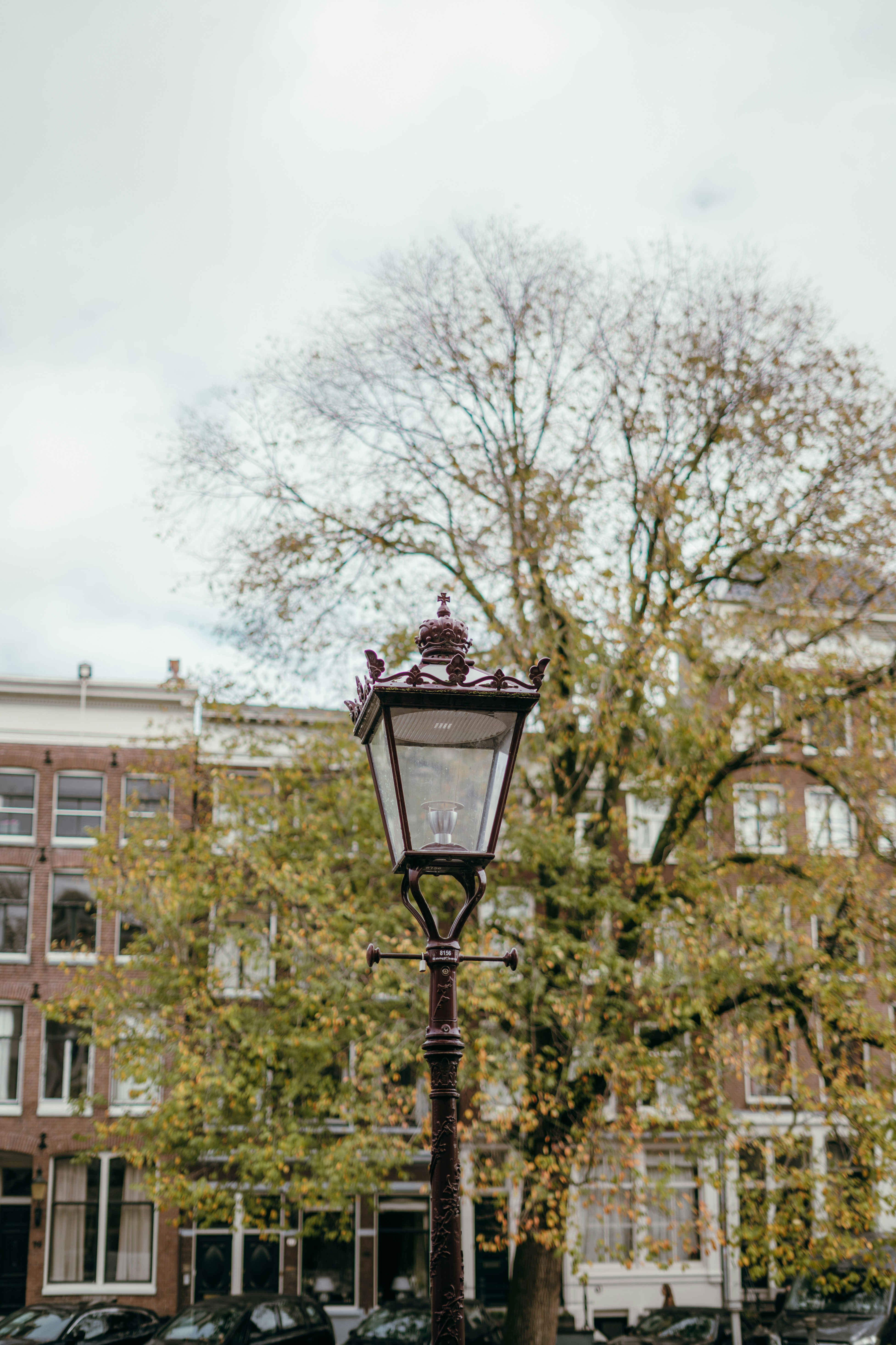Old street lamp in front of autumn trees and buildings