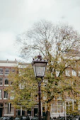 Old street lamp in front of autumn trees and buildings