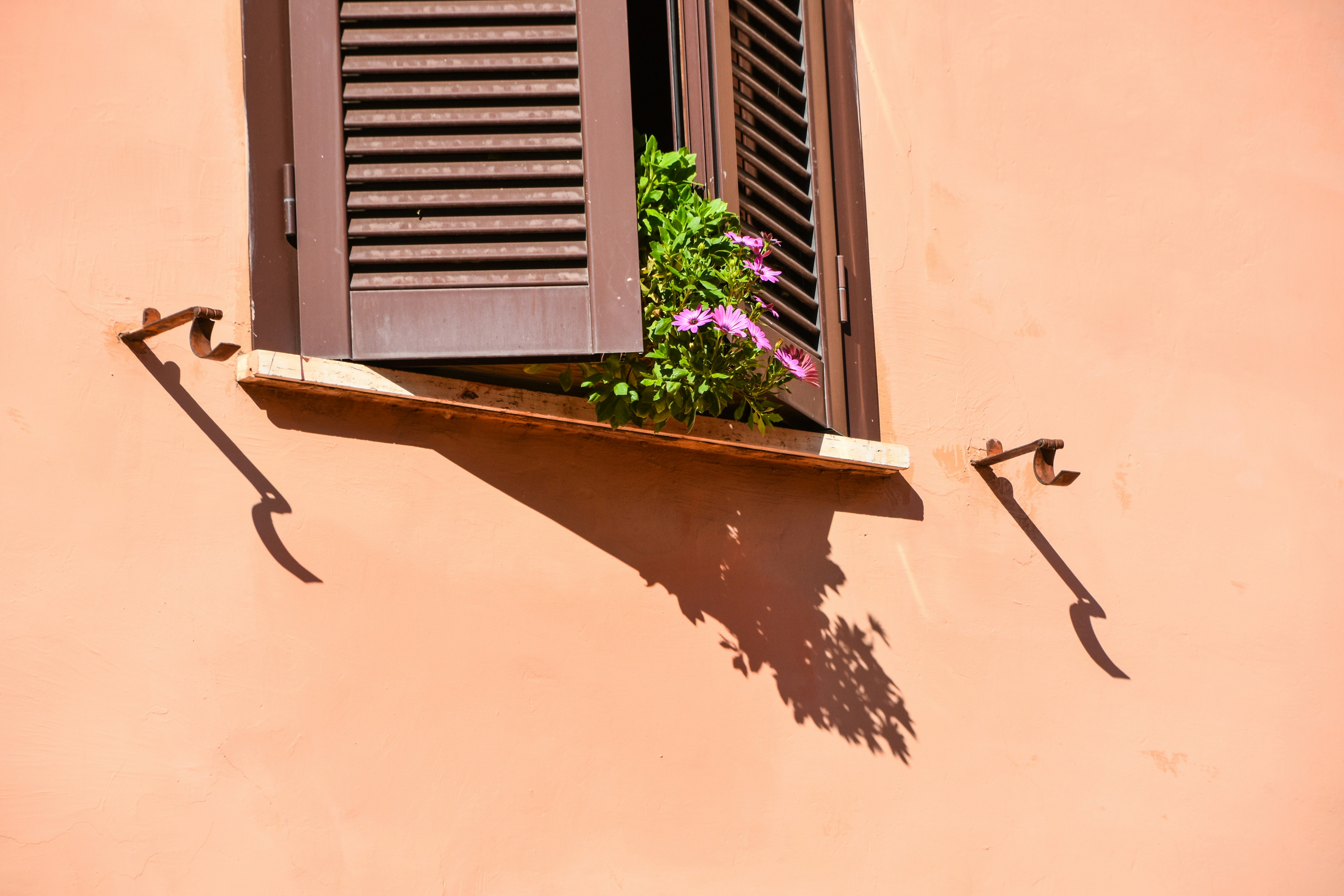 Photo by thequietatlas