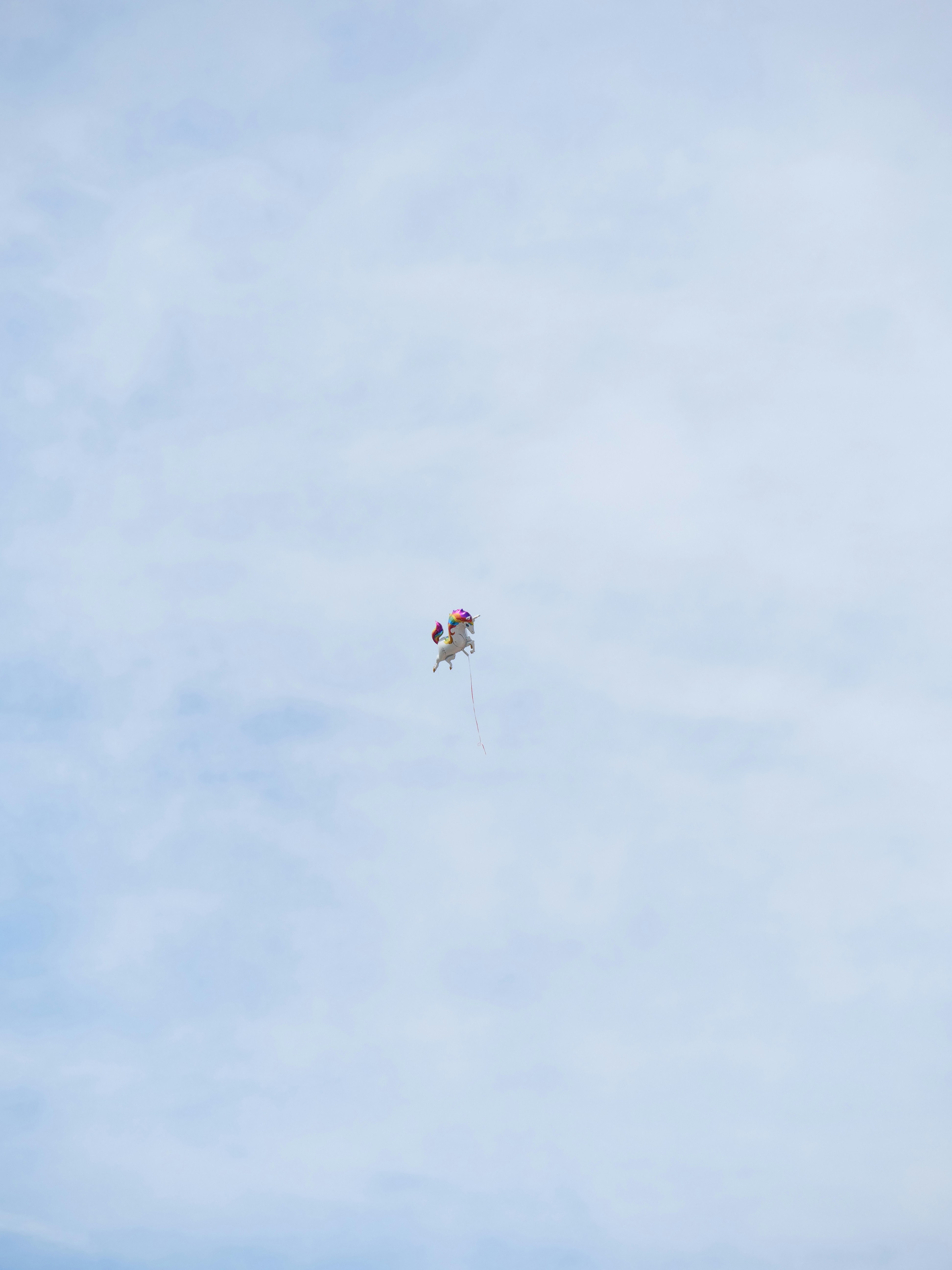 Photo by nimbus_vulpis