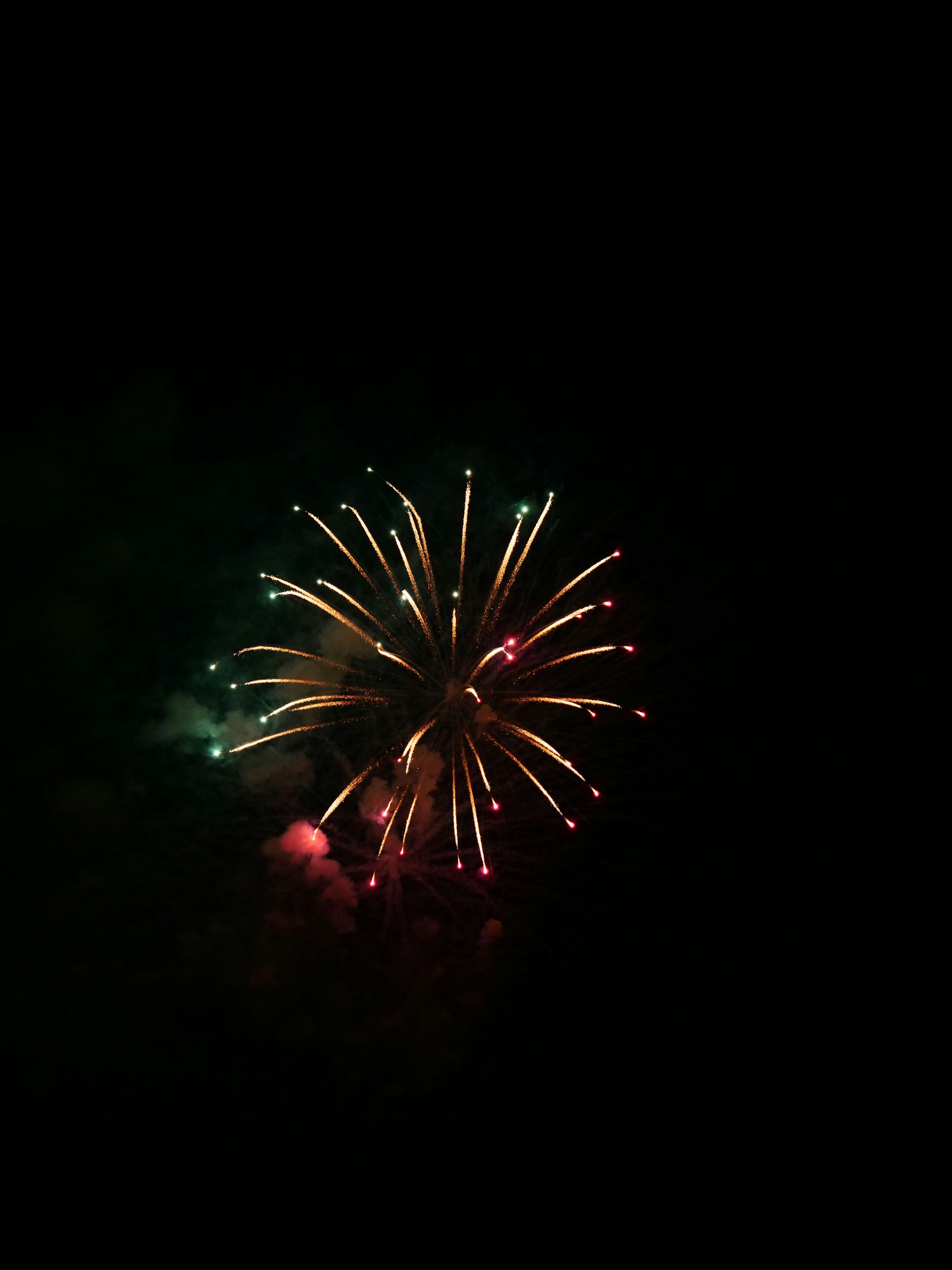 Photo by nimbus_vulpis