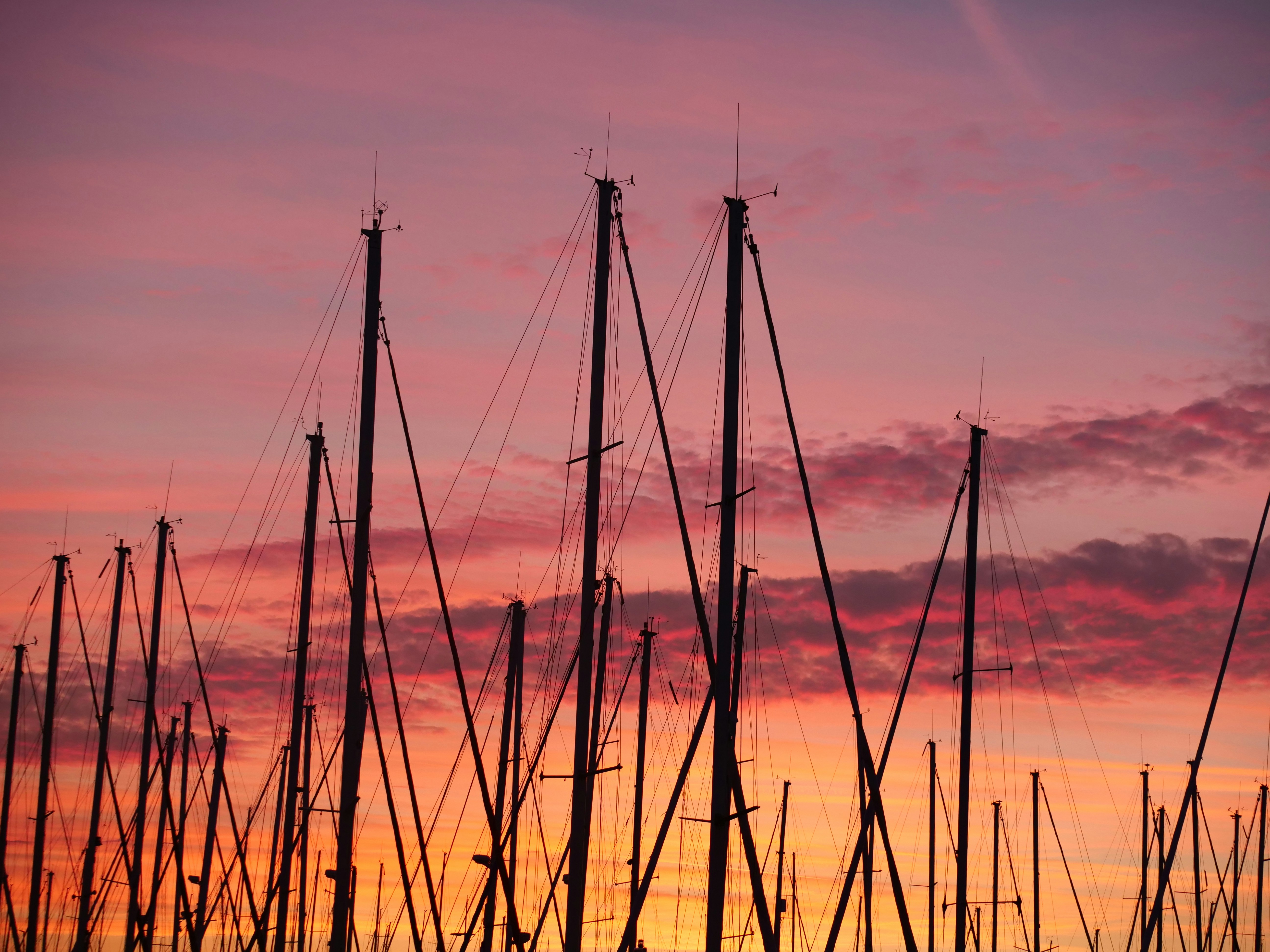 Photo by nimbus_vulpis