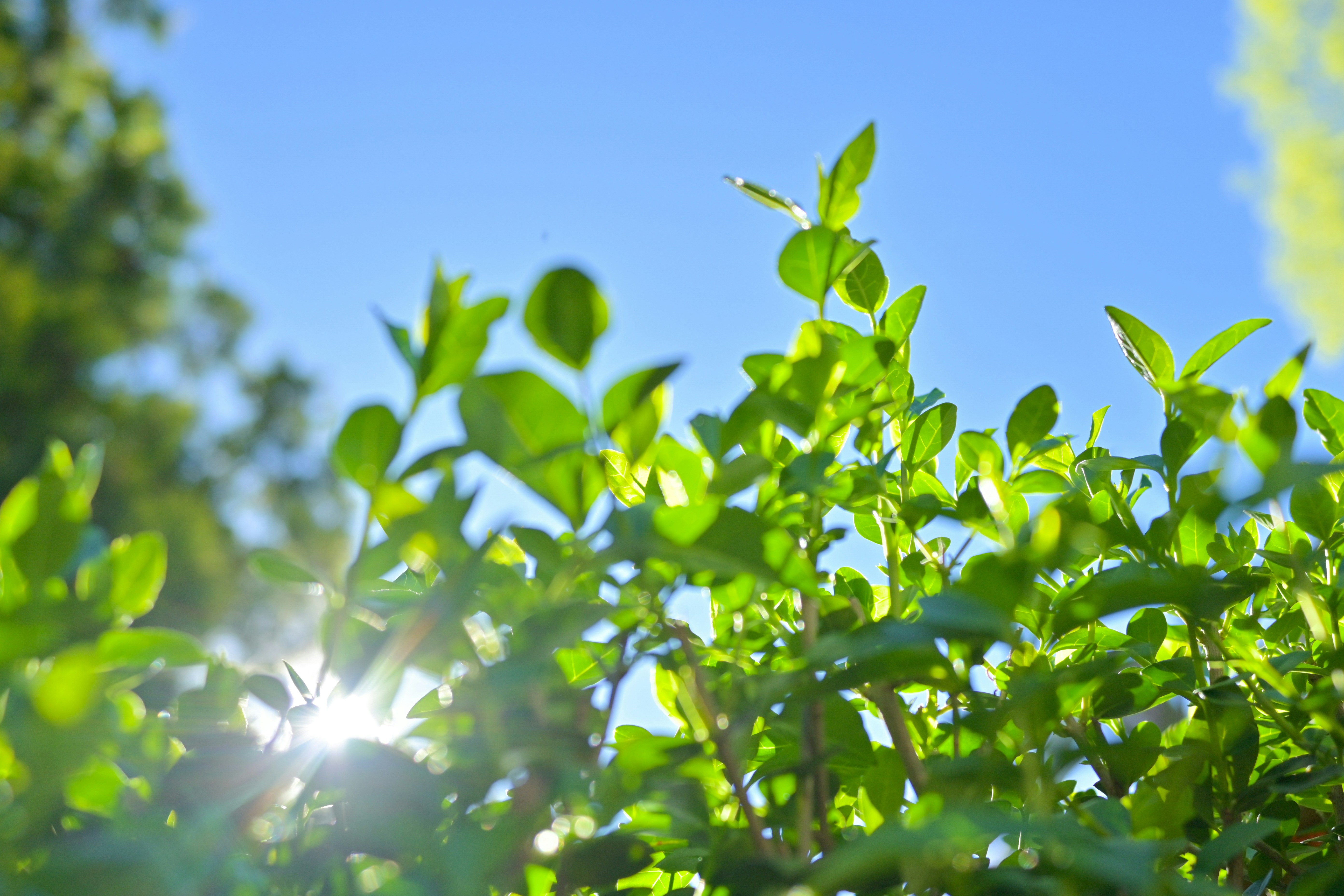 Photo by photomatters_ben