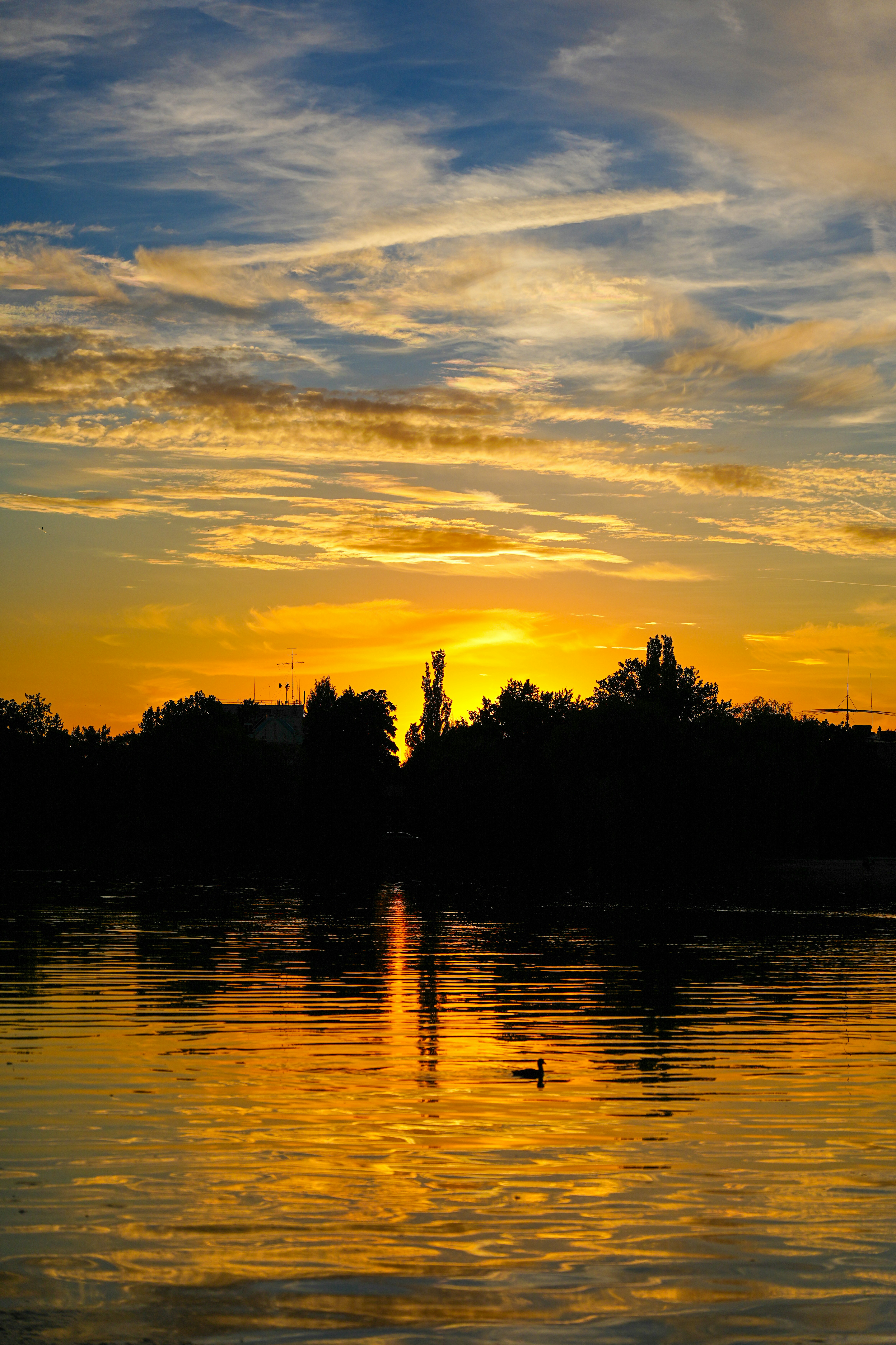 Photo by photomatters_ben