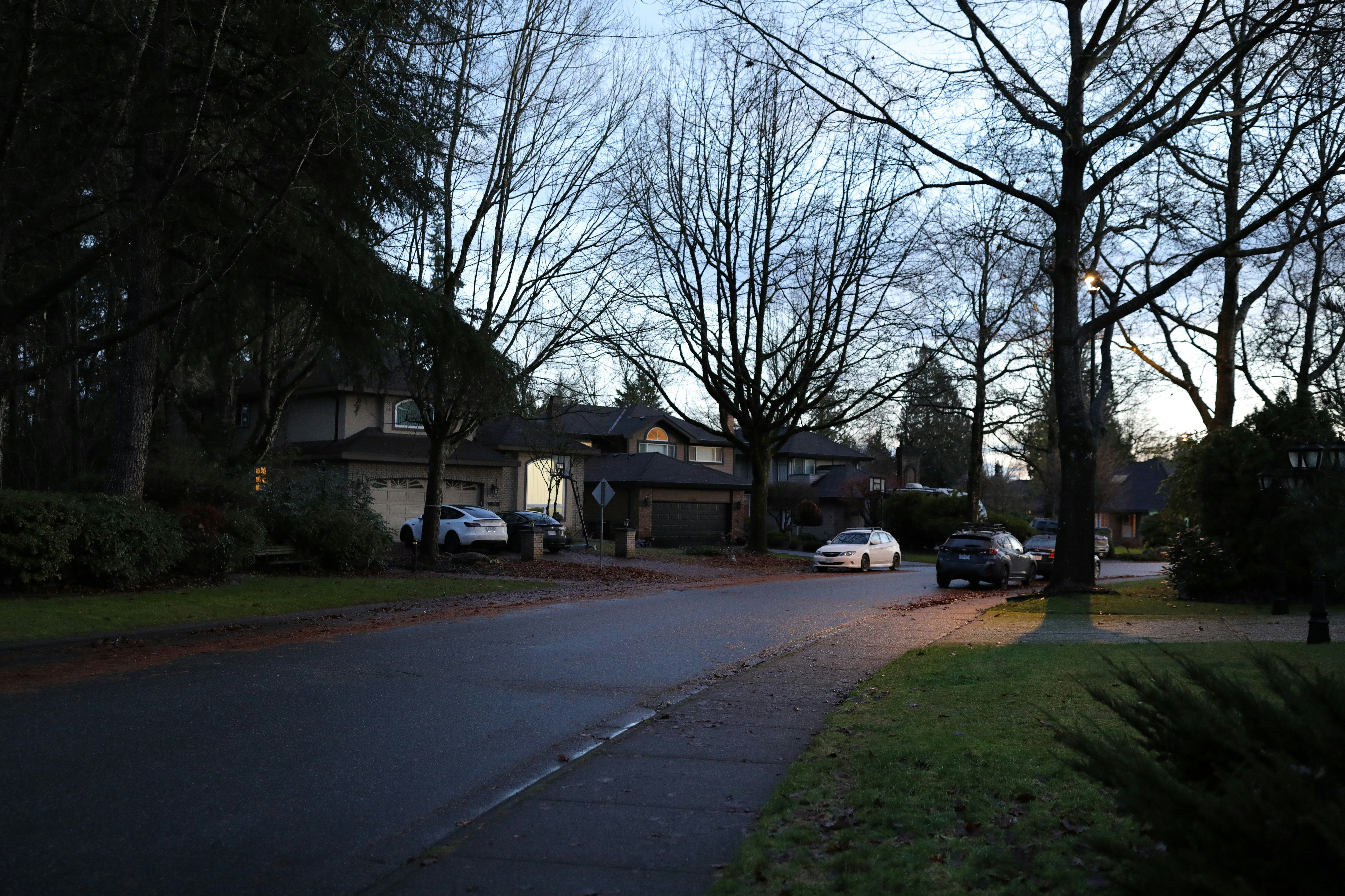 Suburban street with houses and parked cars at dusk