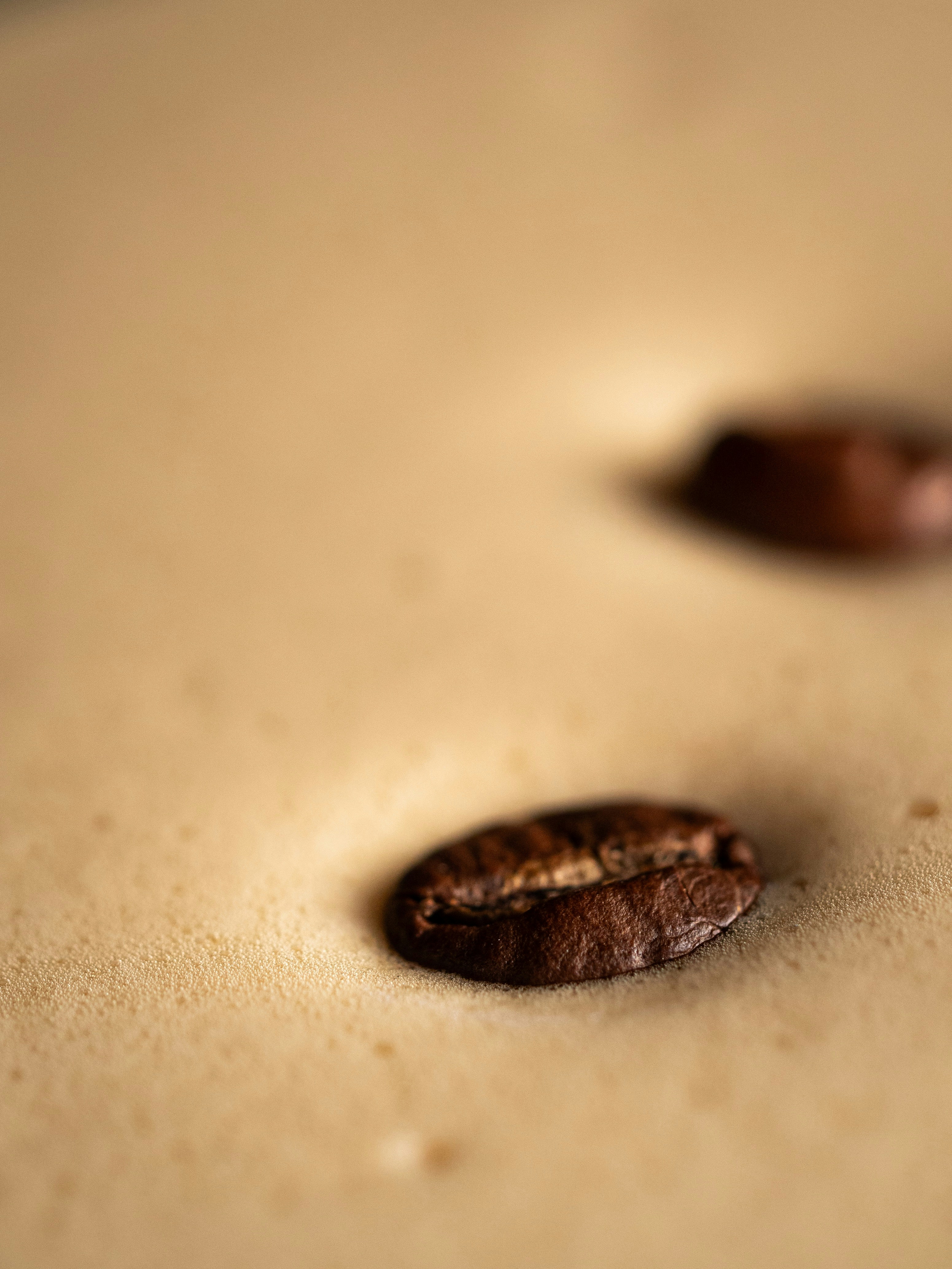 Photo by frank_spaghetti