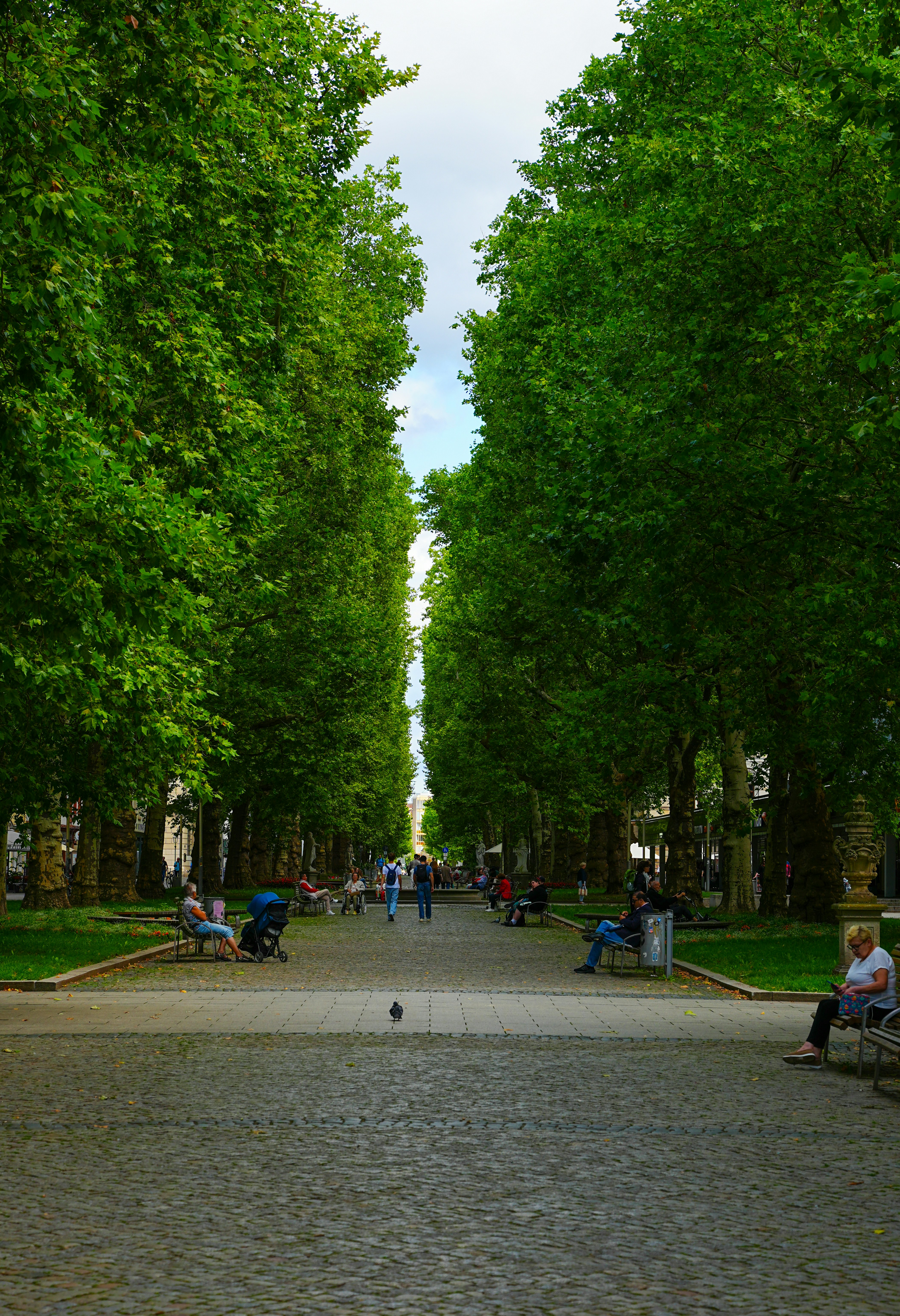 Photo by photomatters_ben