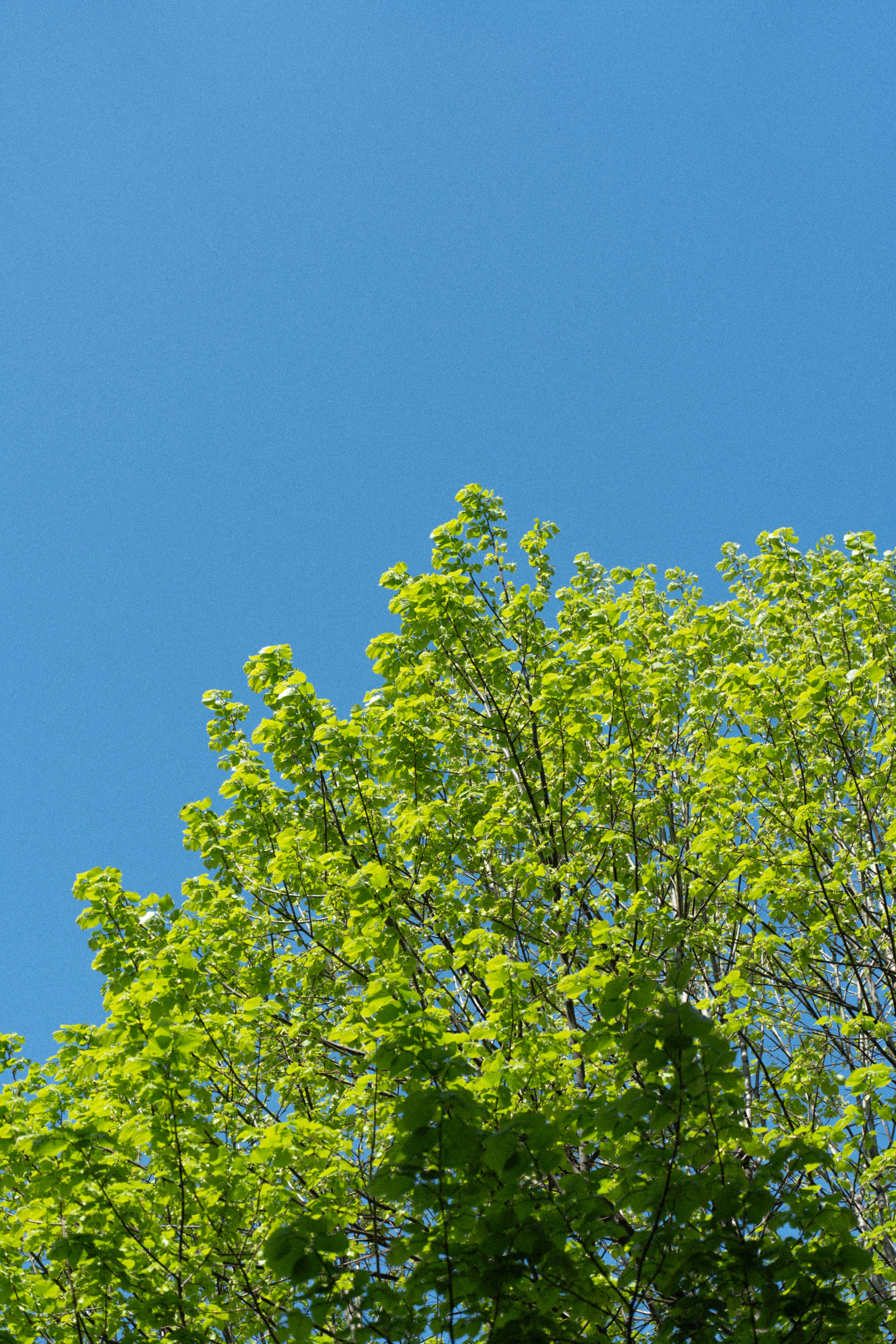 Photo by photomatters_ben