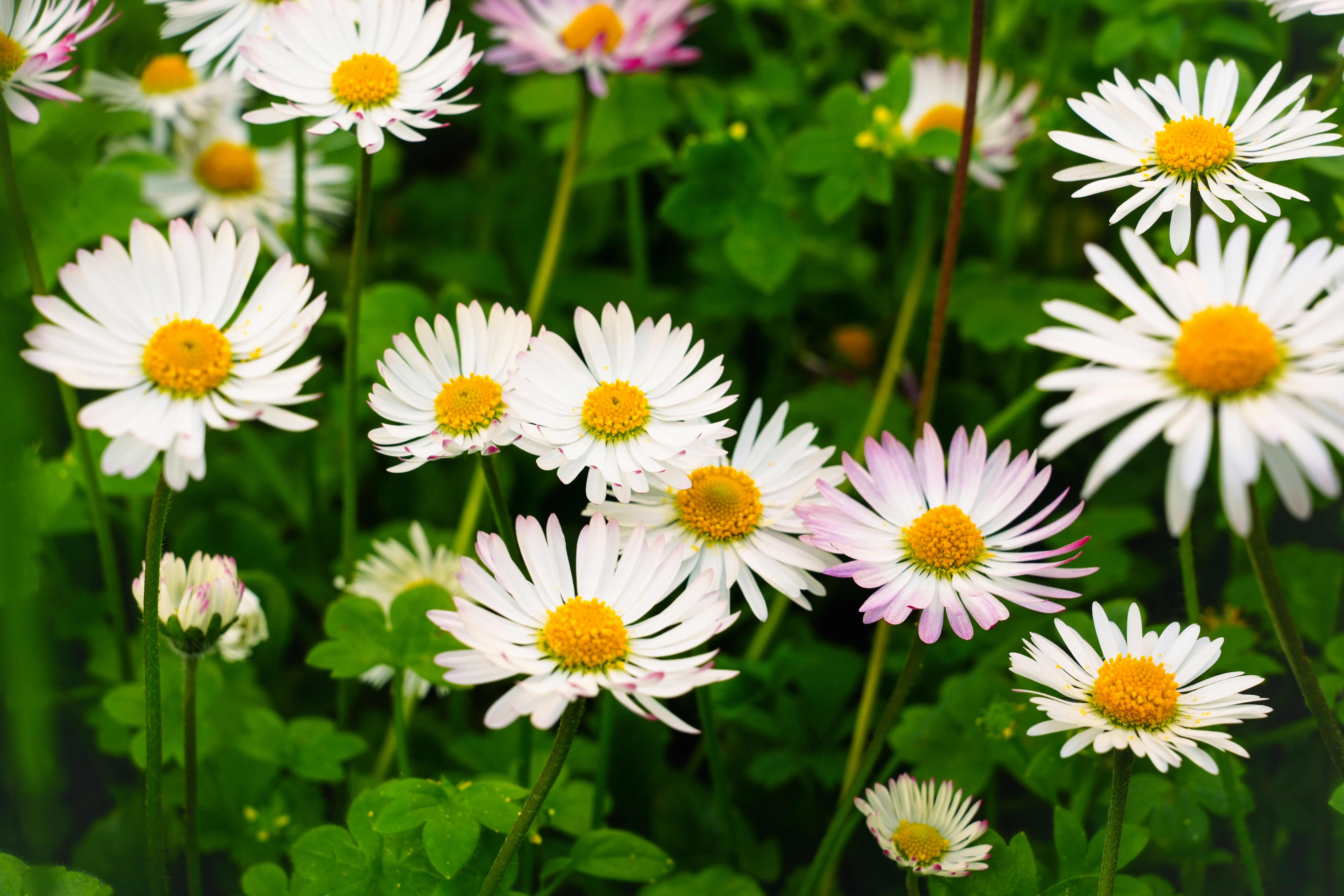 Photo by photomatters_ben