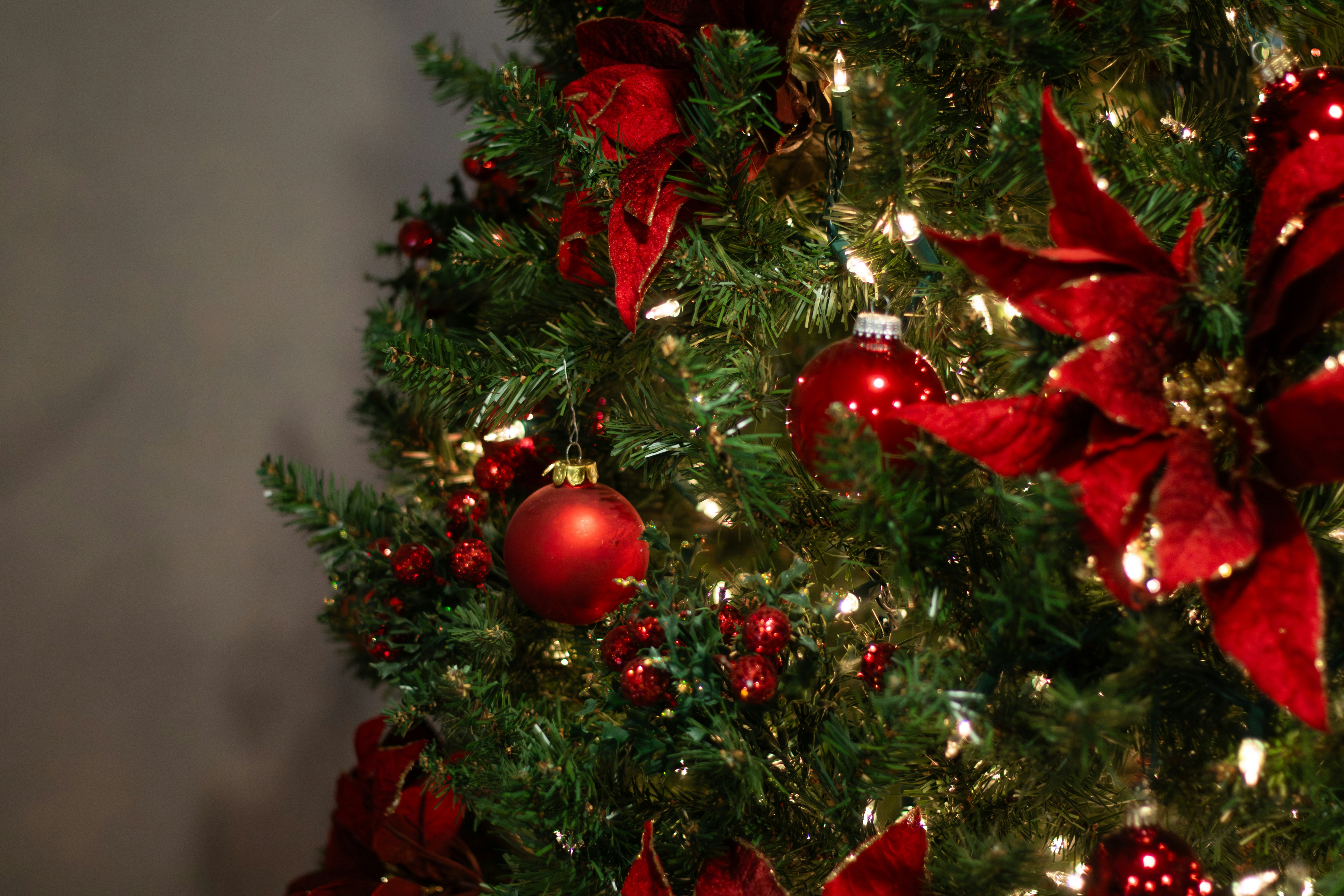 Photo by familylifecs