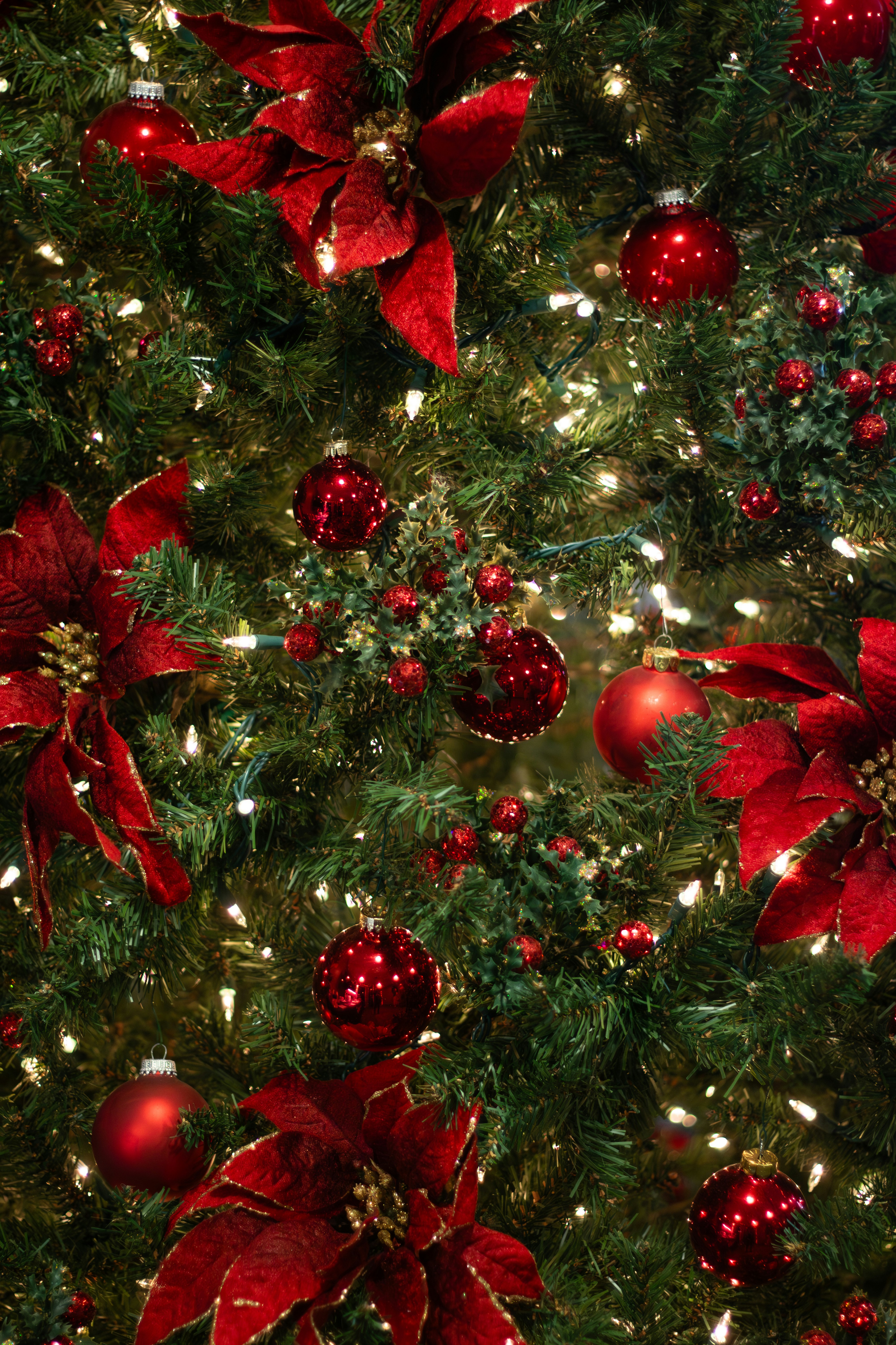 Photo by familylifecs