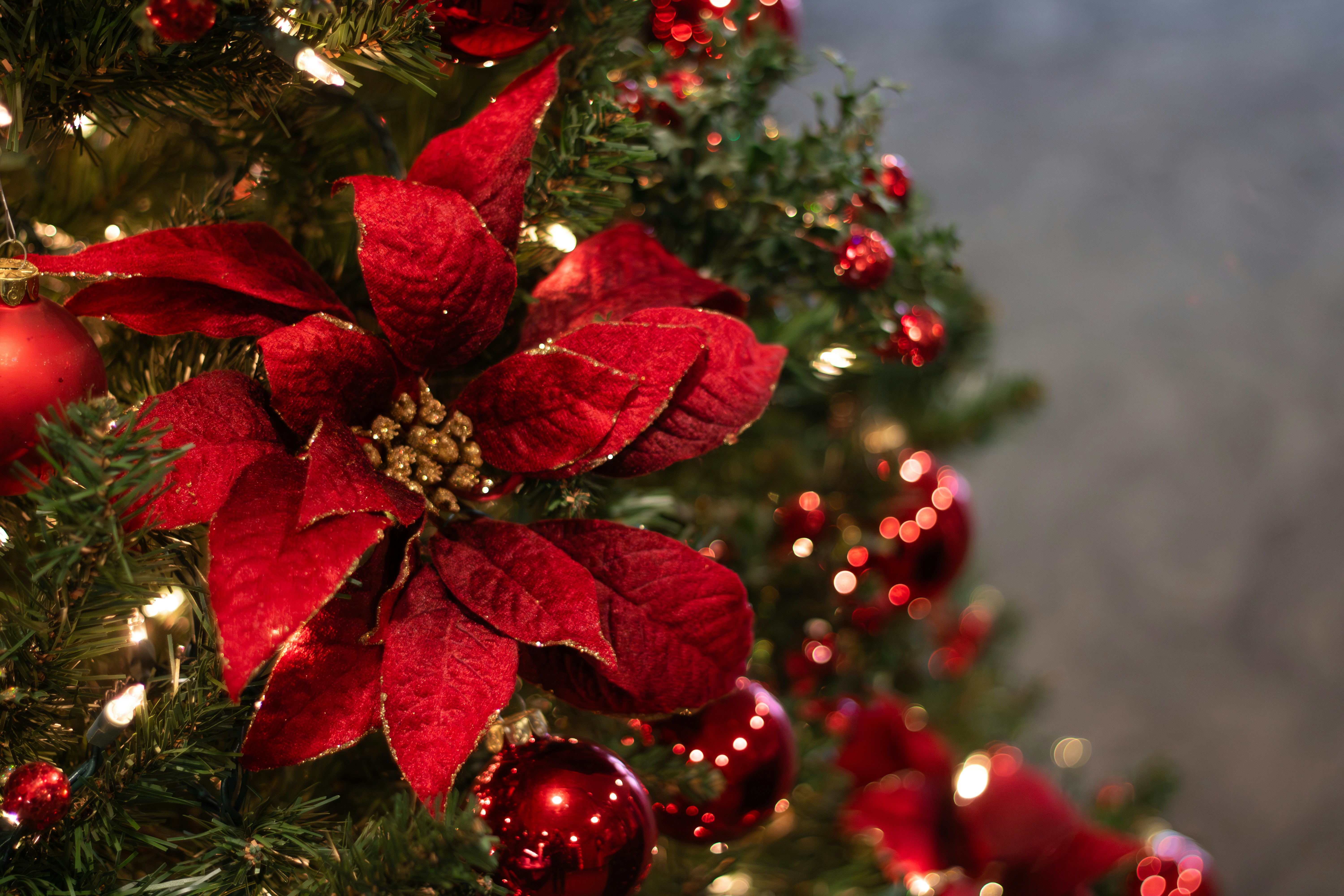 The Filipino Spirit of Giving & Sharing: A Christmas Series