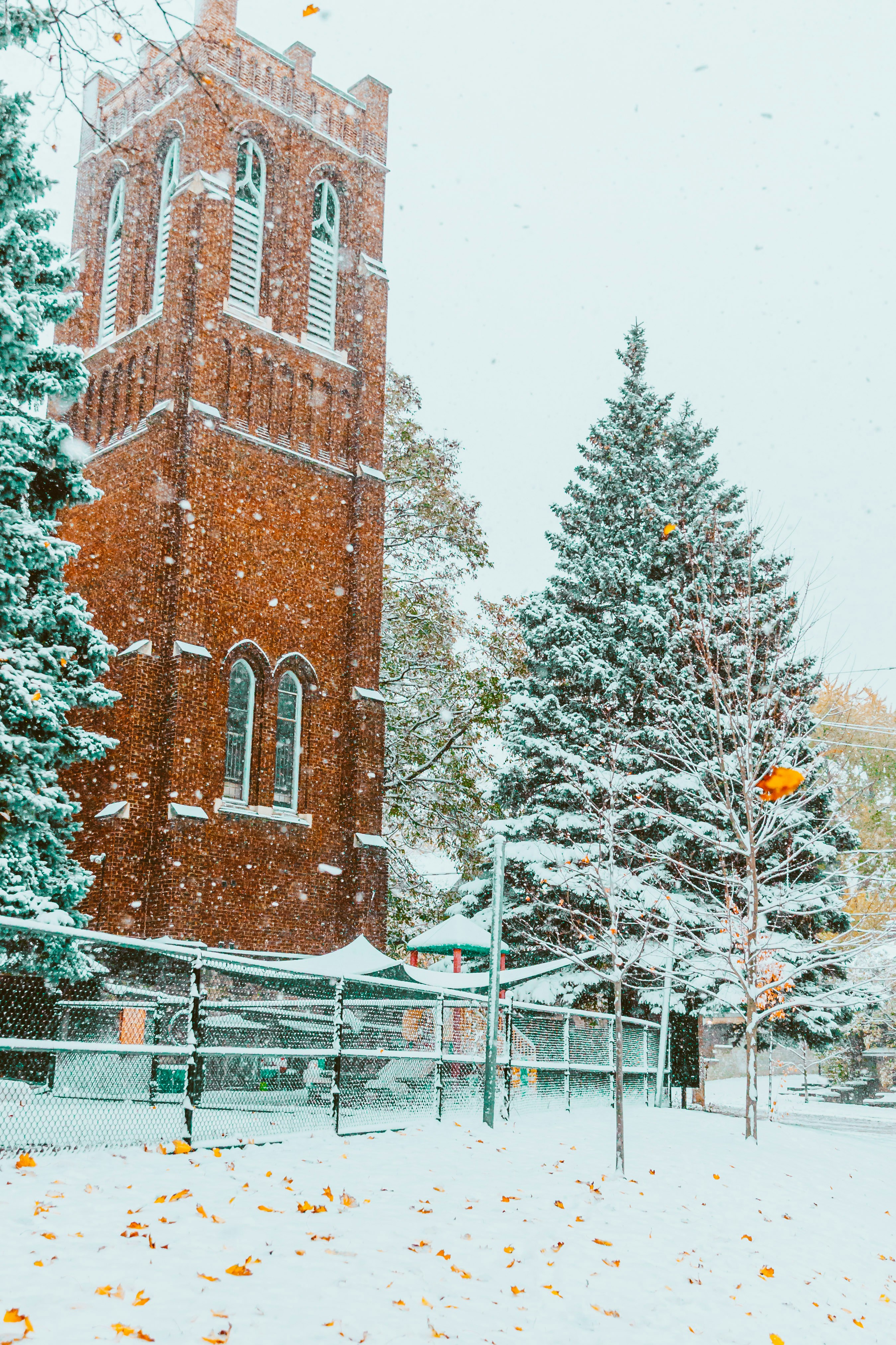 Brick tower and snow-covered trees in winter.
