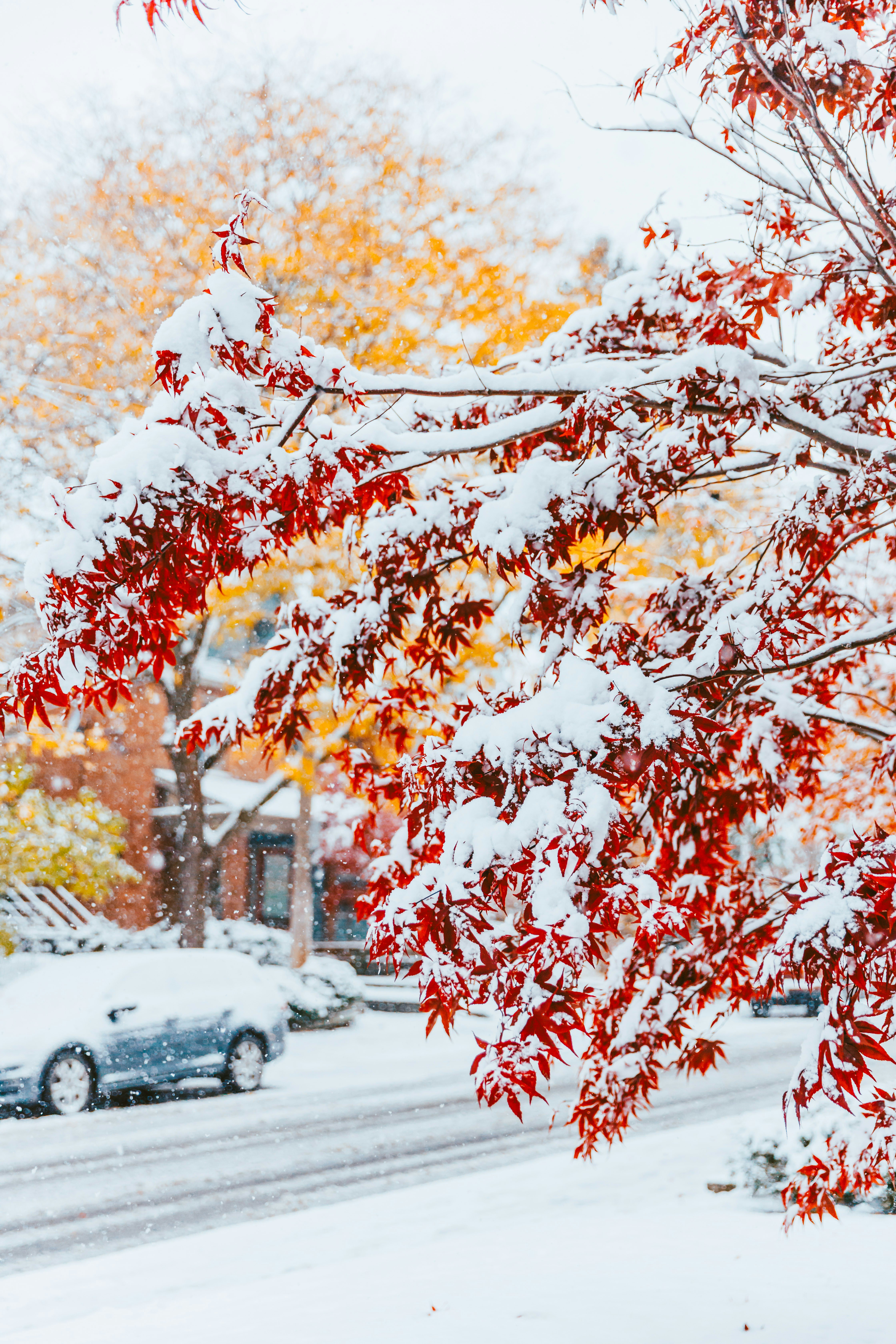 Photo by greenyang10