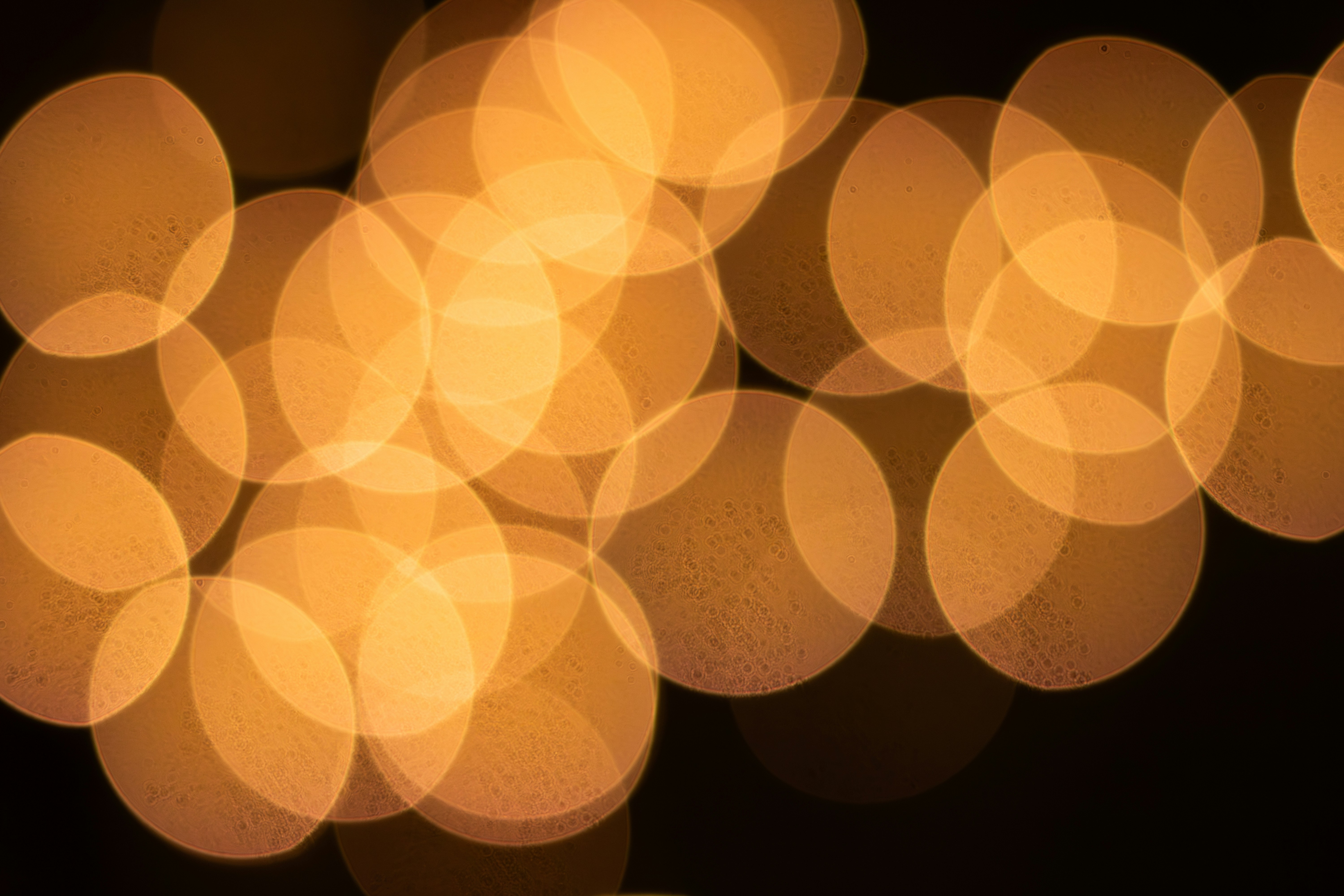 Photo by familylifecs