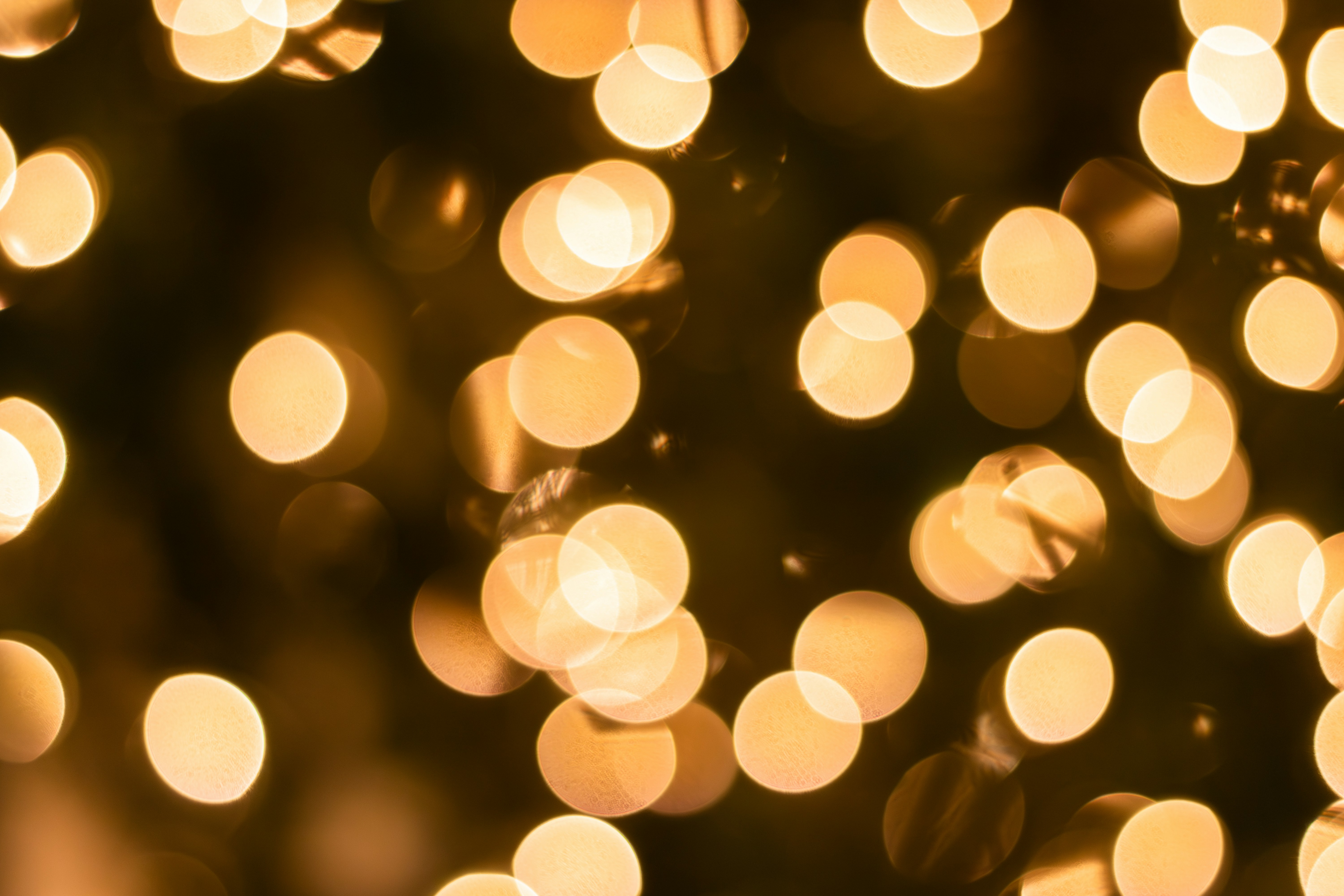 Photo by familylifecs