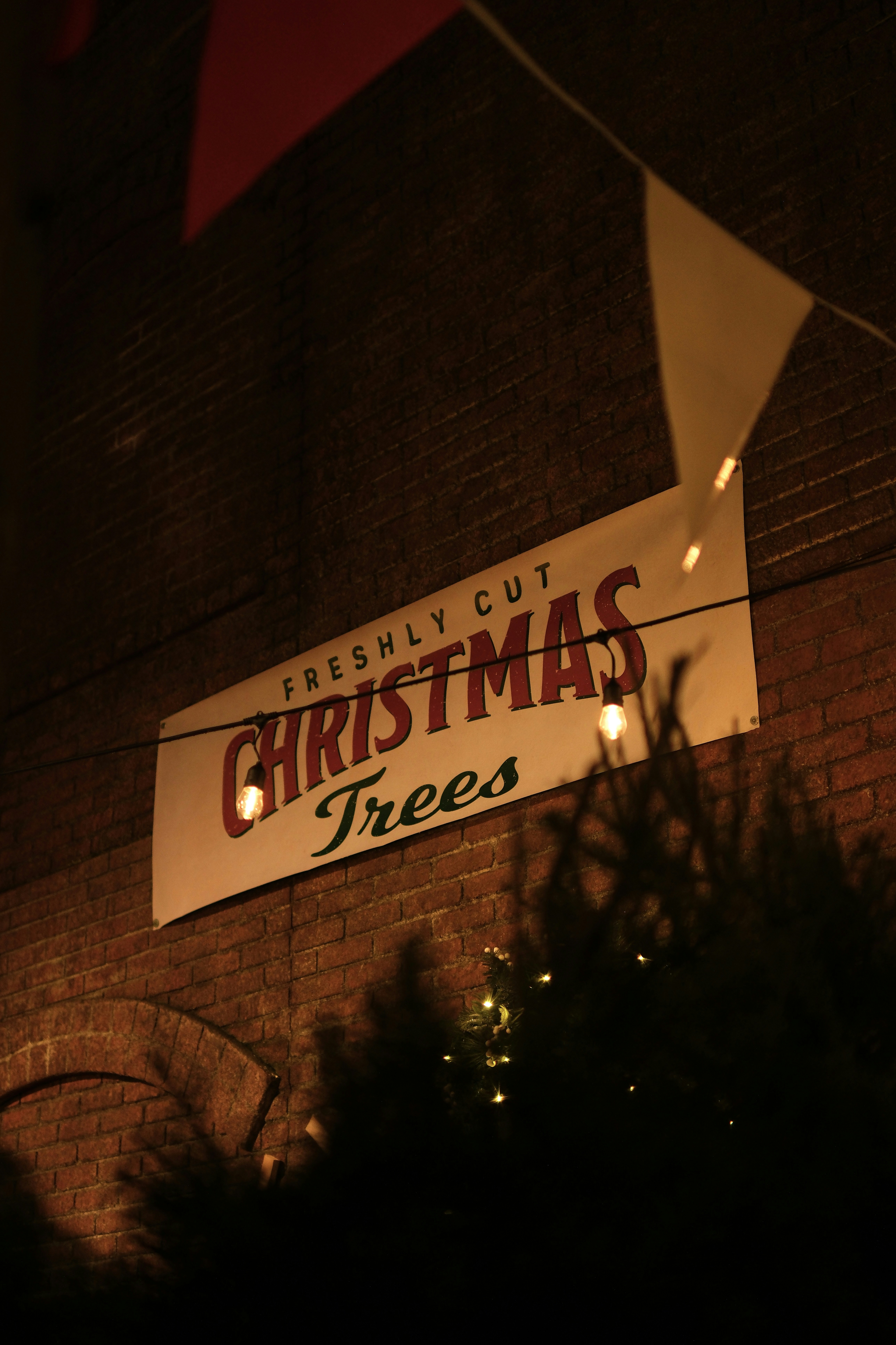 Freshly cut christmas trees sign with flags photo – Free Christmas ...