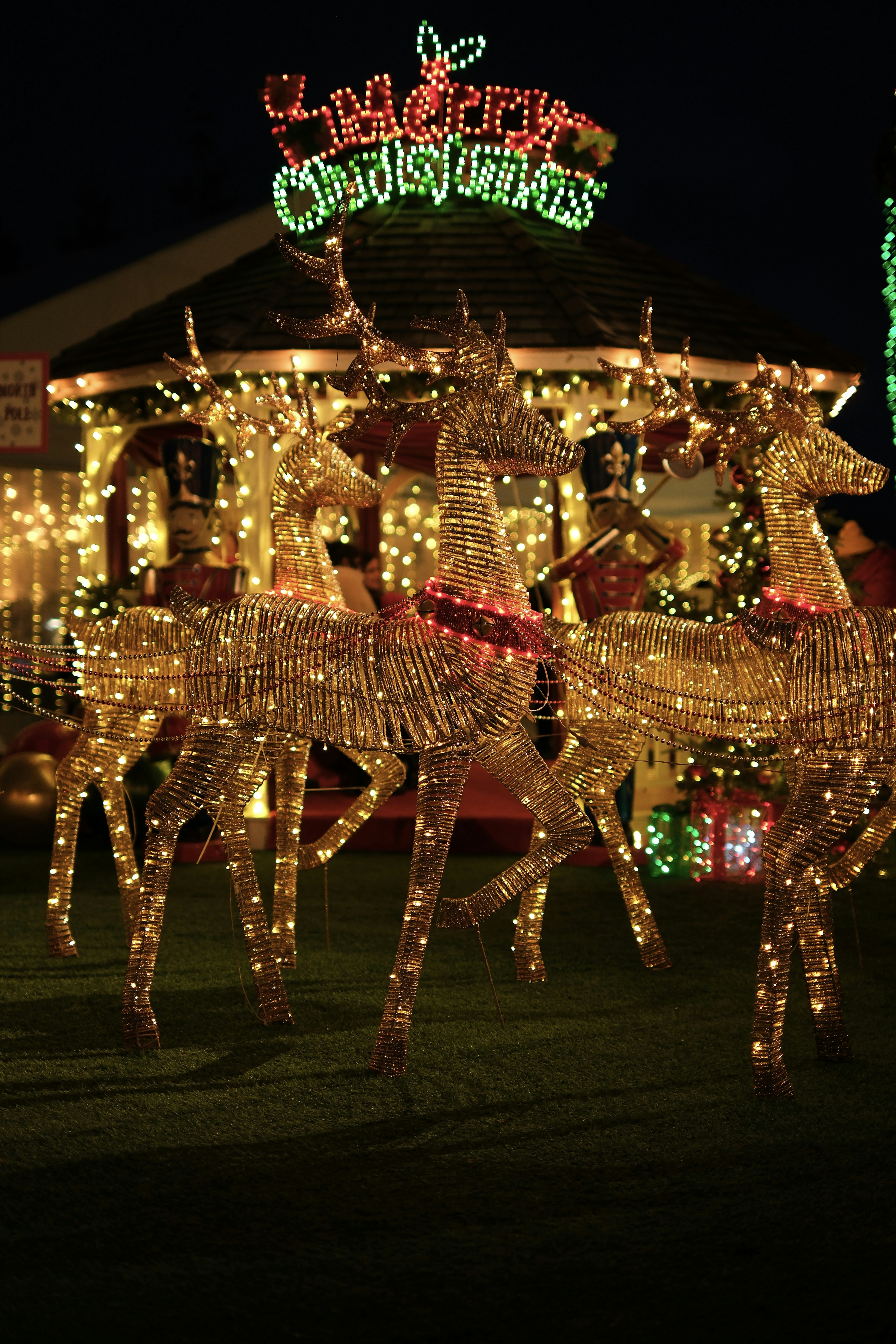 Reindeer christmas lights decoration at night