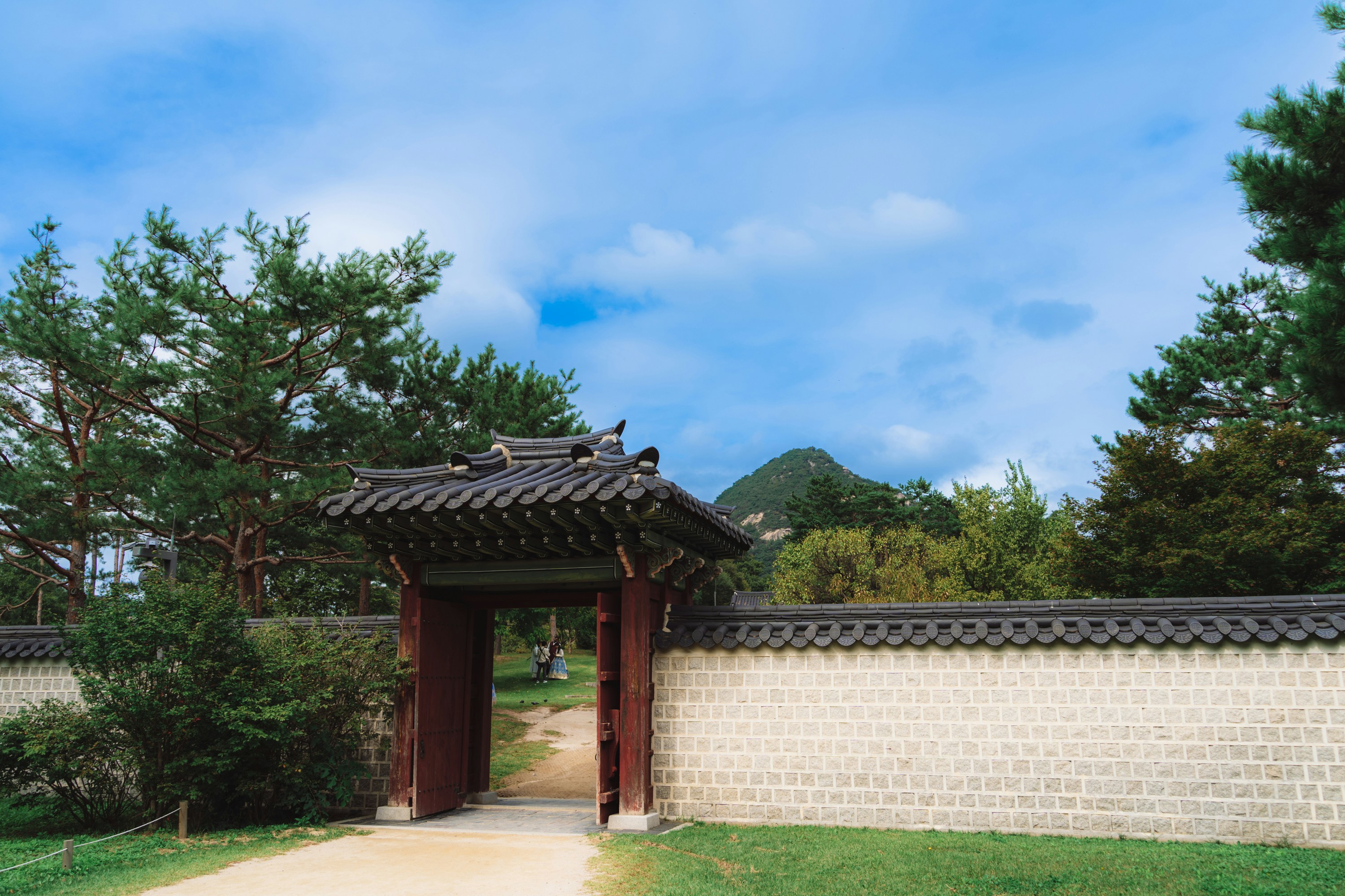 Traditional korean gate with stone wall and trees