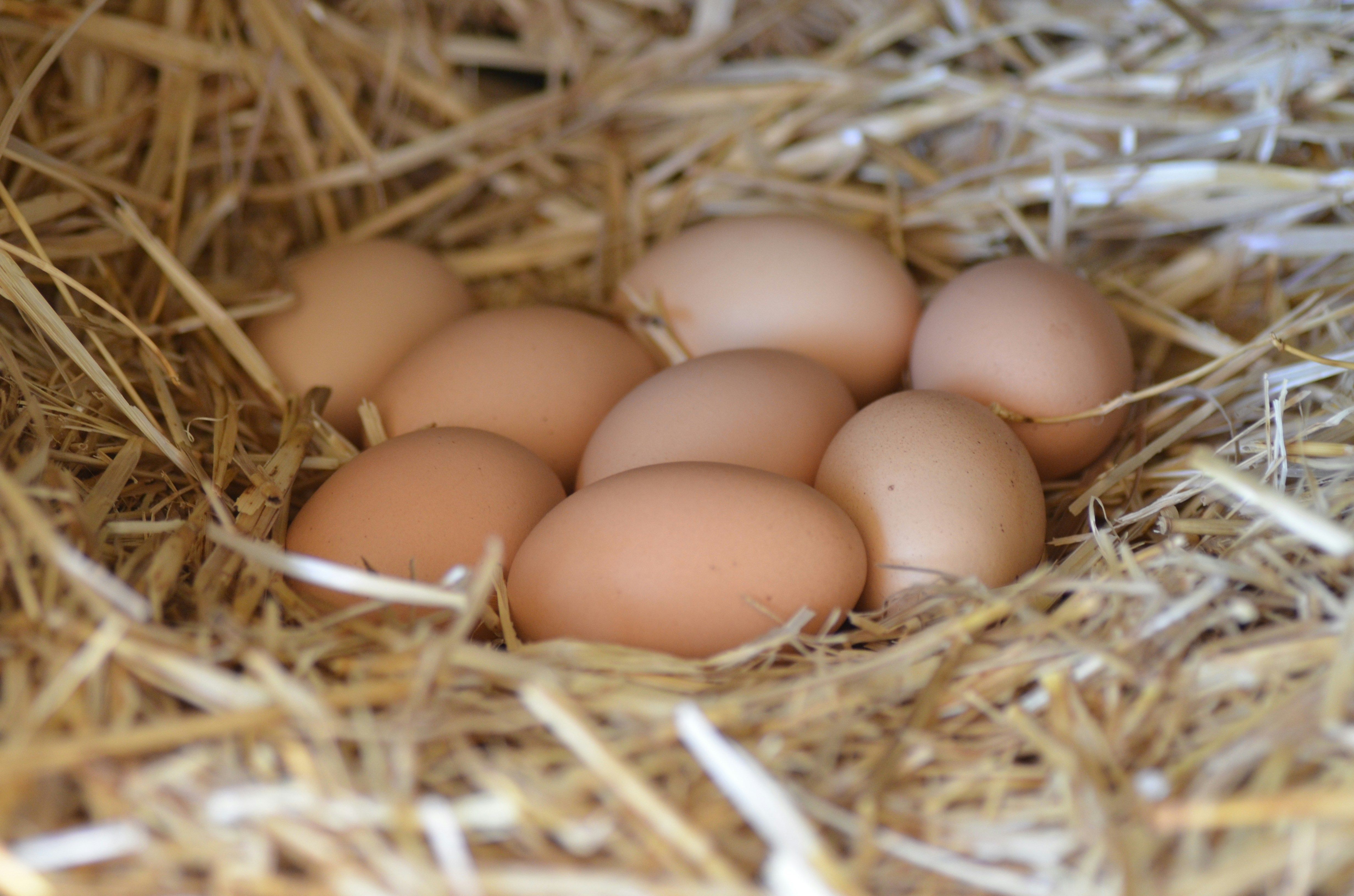 Photo by jessicadonnelly