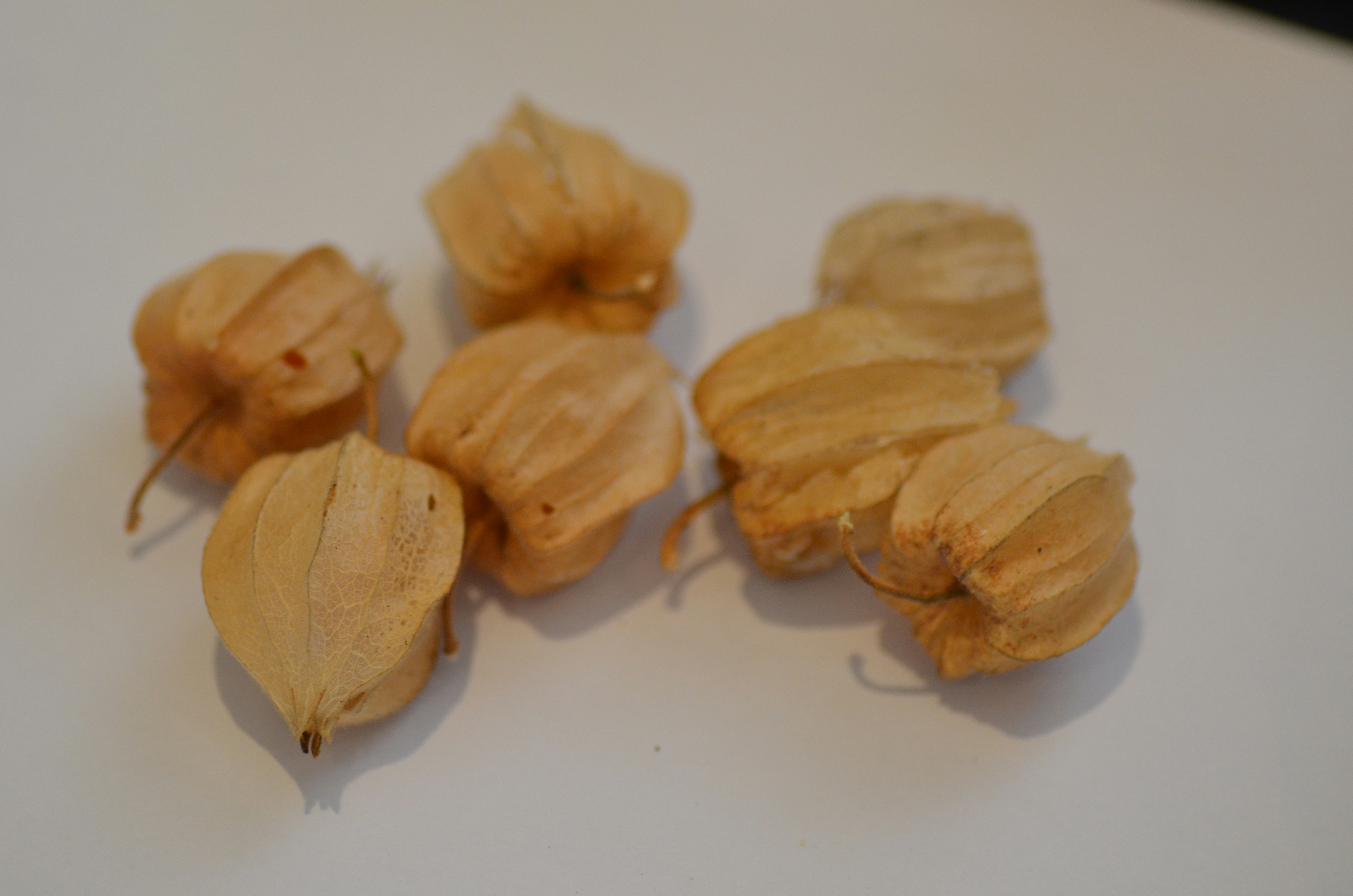 Várias frutas douradas secas sobre uma superfície branca.