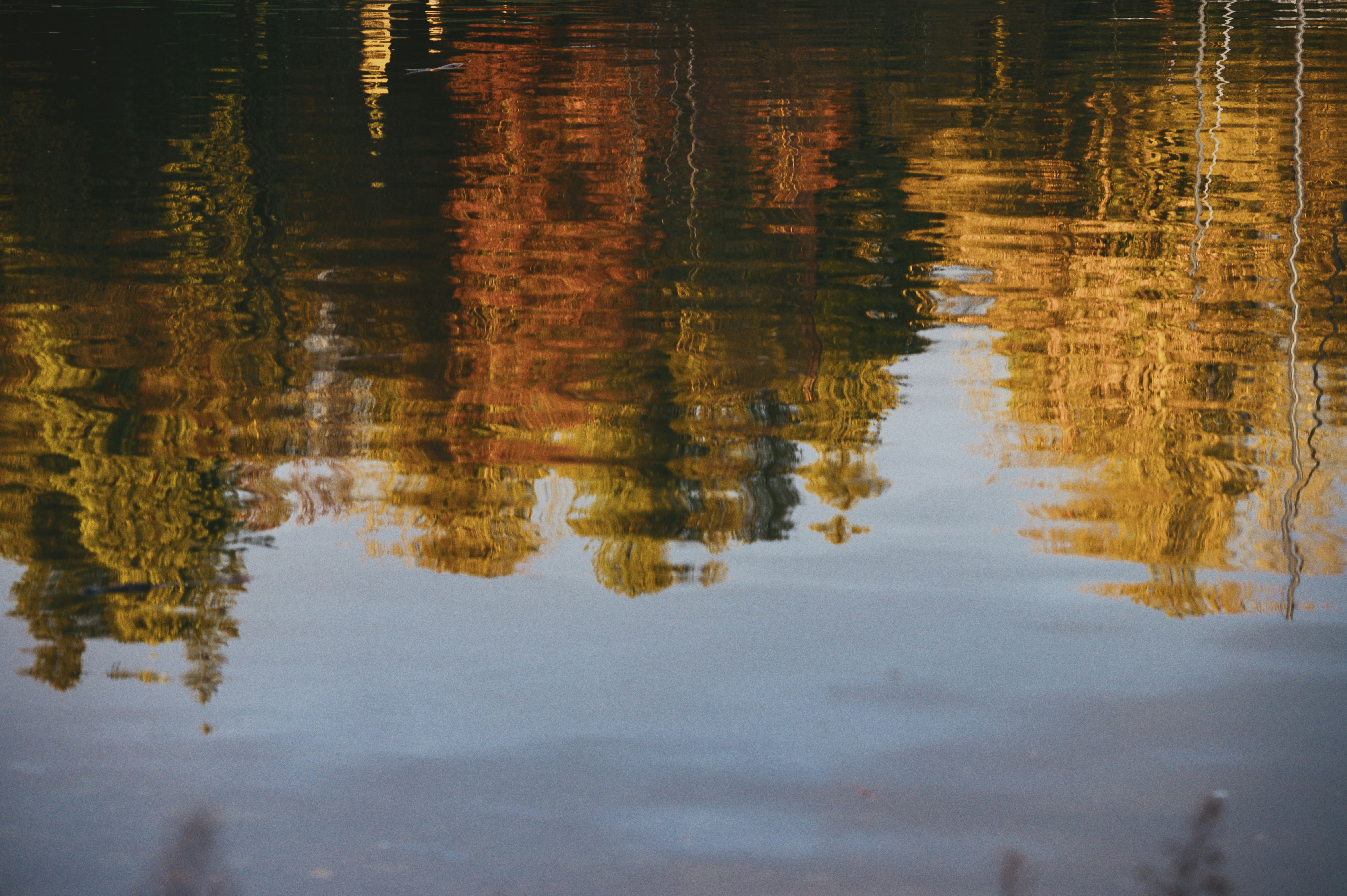 Photo by albertstoynov