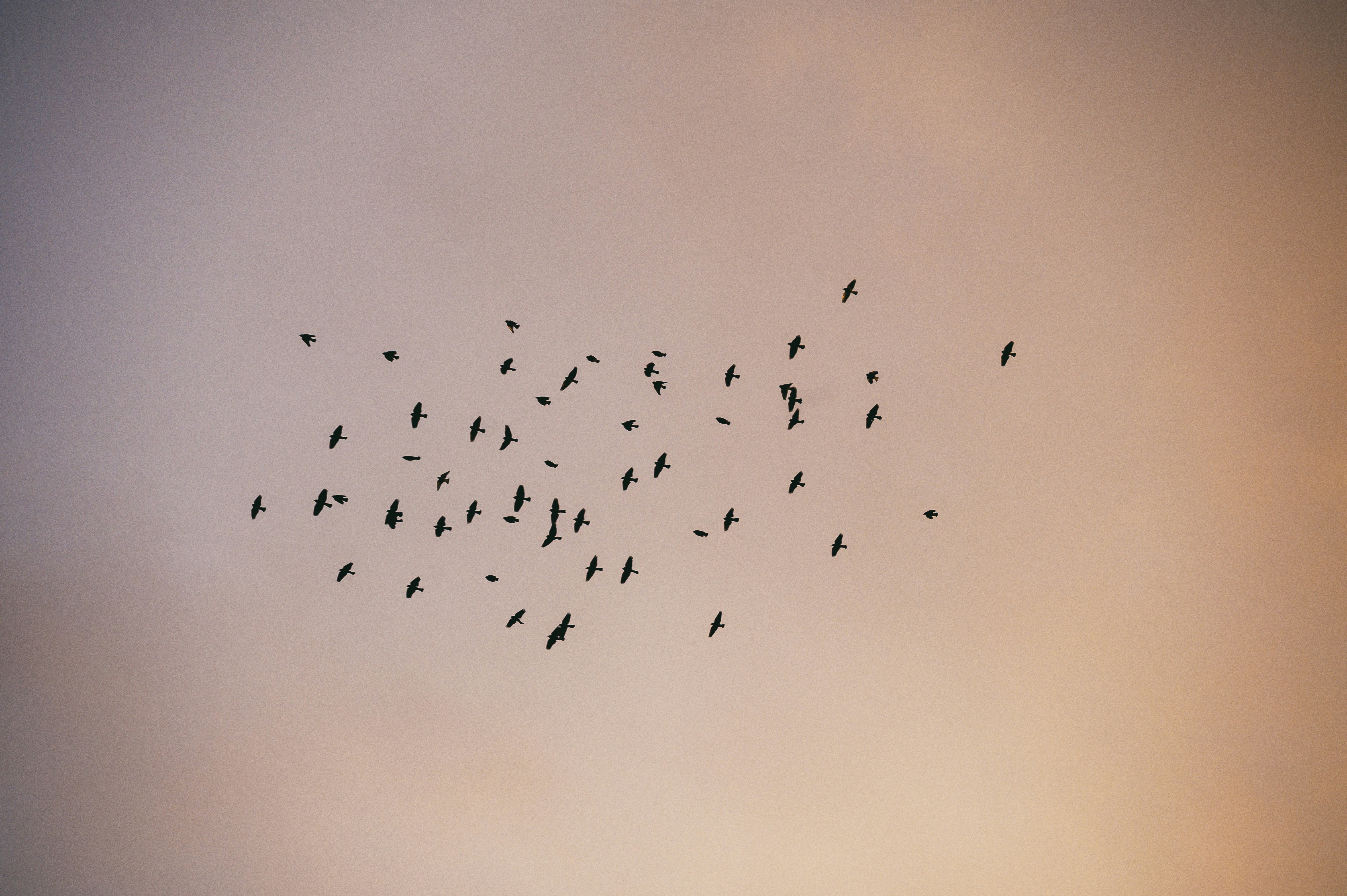 Photo by albertstoynov