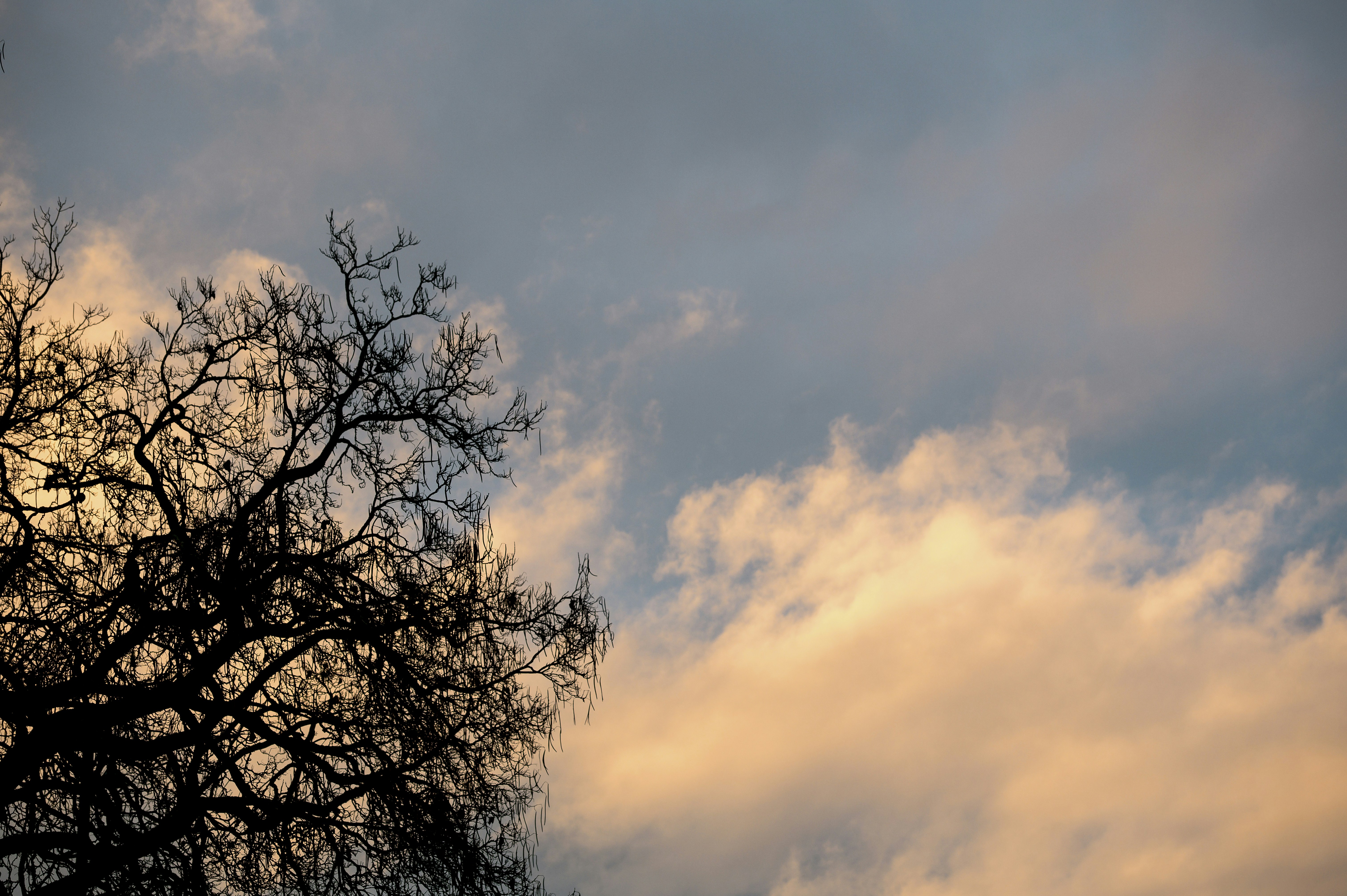 Photo by albertstoynov